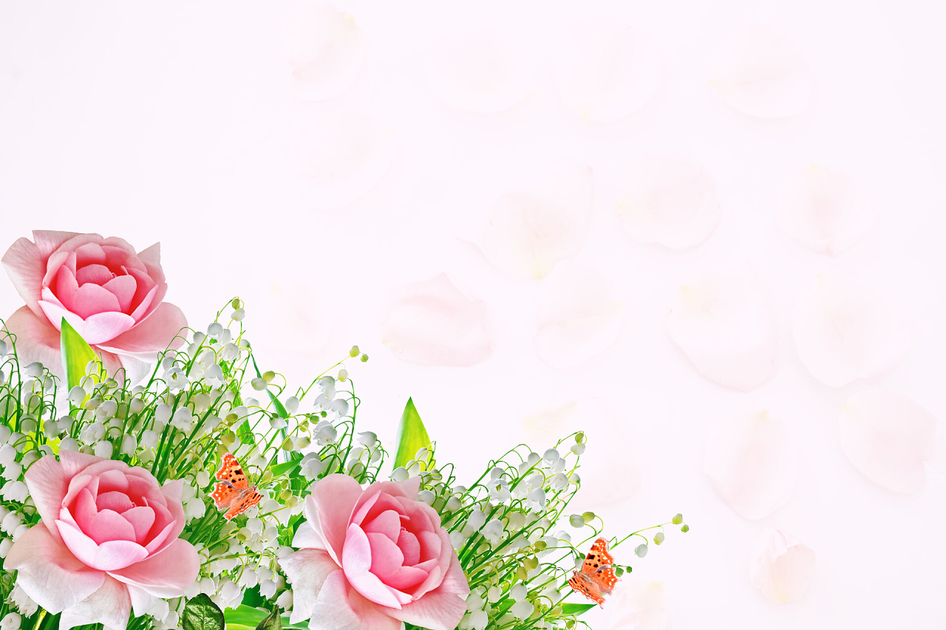 粉色背景下盛开的花卉花卉背景。花玫瑰和山谷百合.