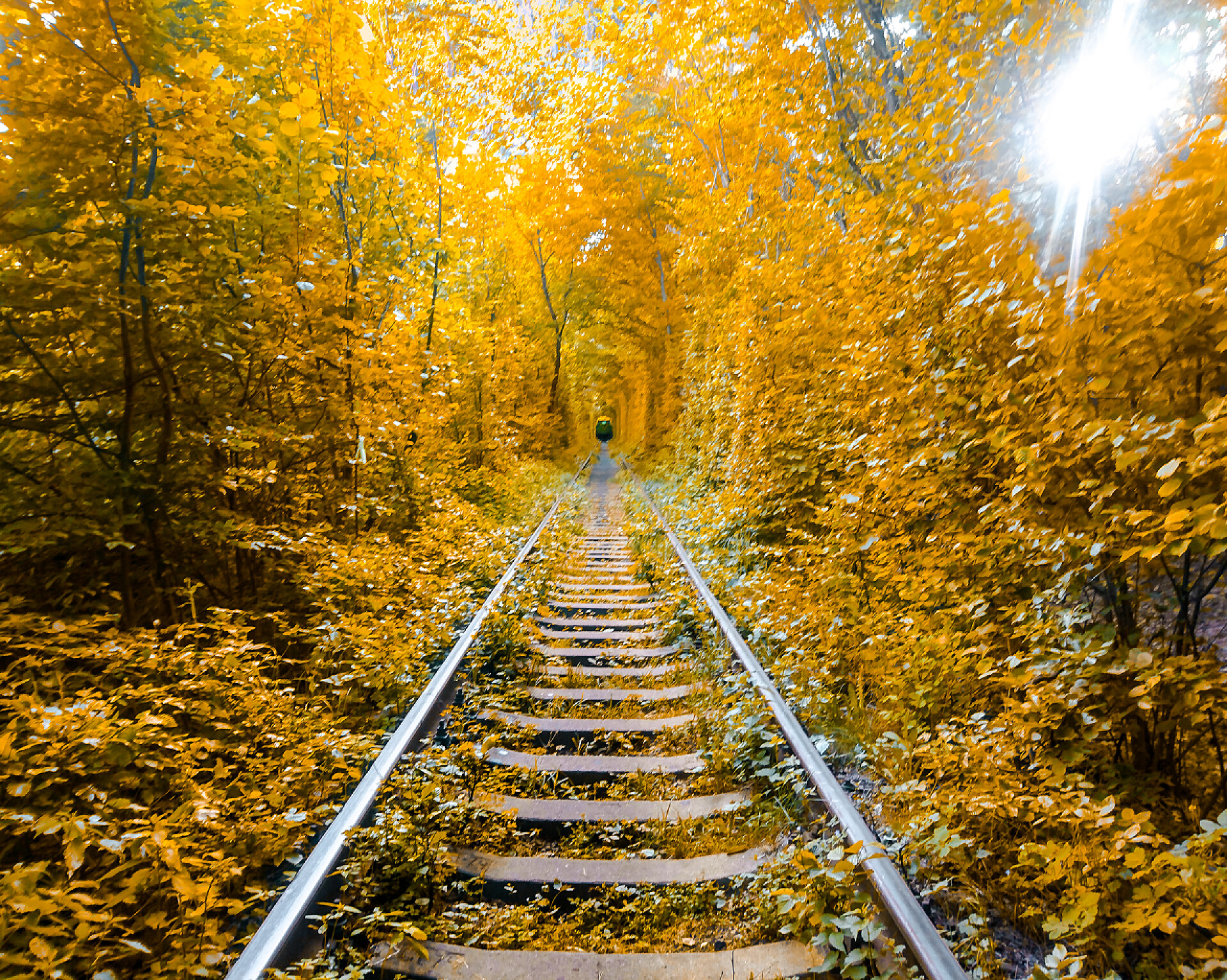 树林中的铁轨乌克兰的爱隧道