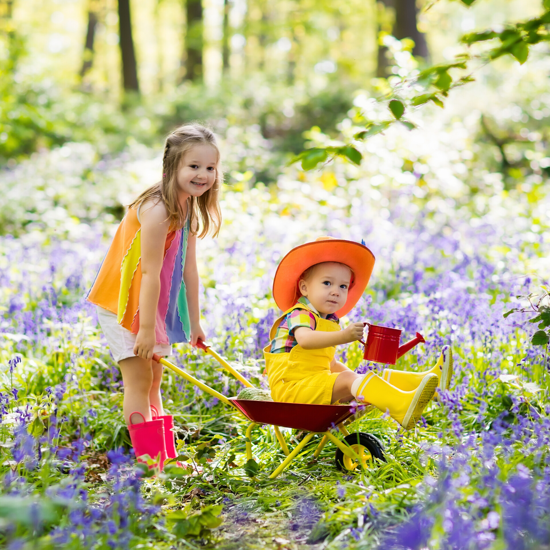 在花园里用手推车推弟弟的女孩蓝铃花，园林工具的孩子