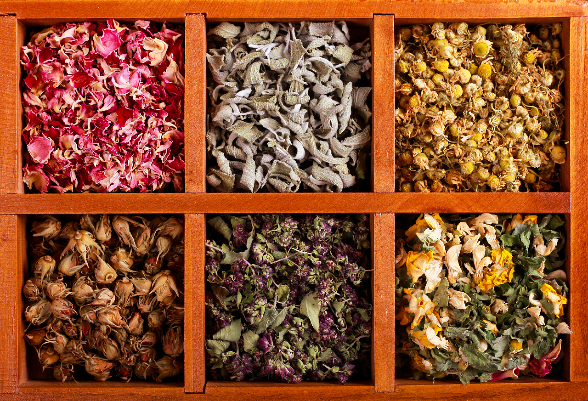 木盒子里的干草药和干花仰视图木盒干香草花,