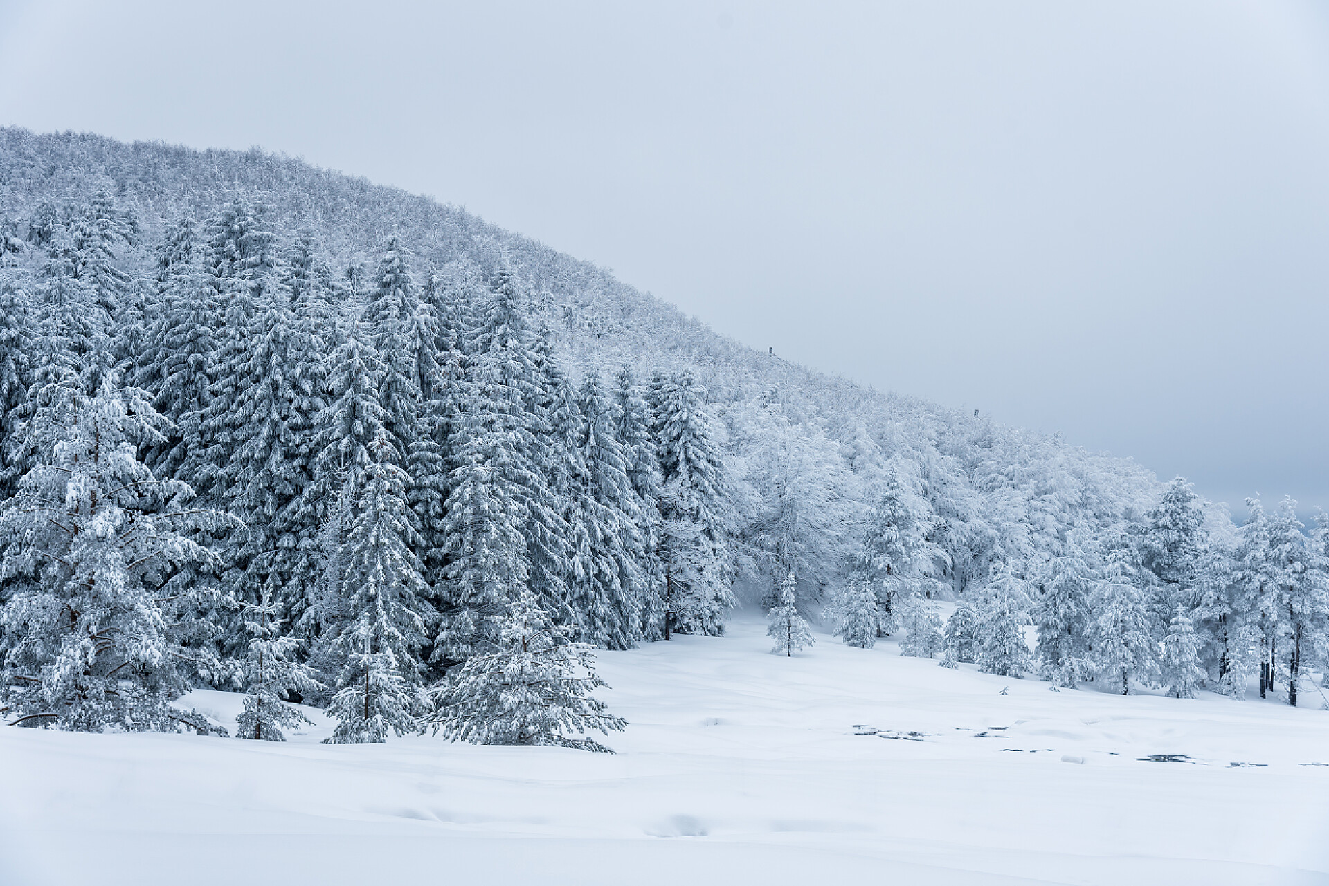 保加利亚山区冬季雪景山的冬天风景.