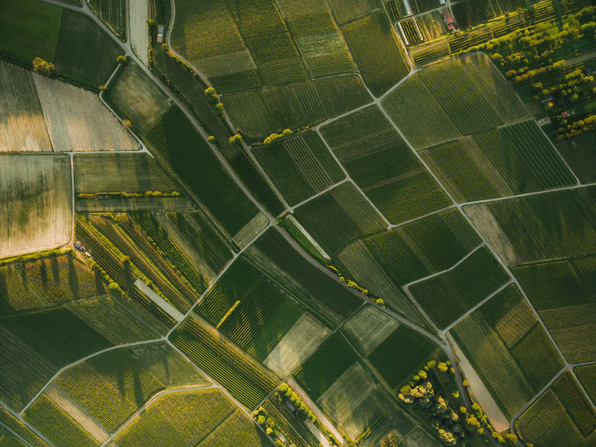 欧洲之夜绿色农业领域鸟瞰图