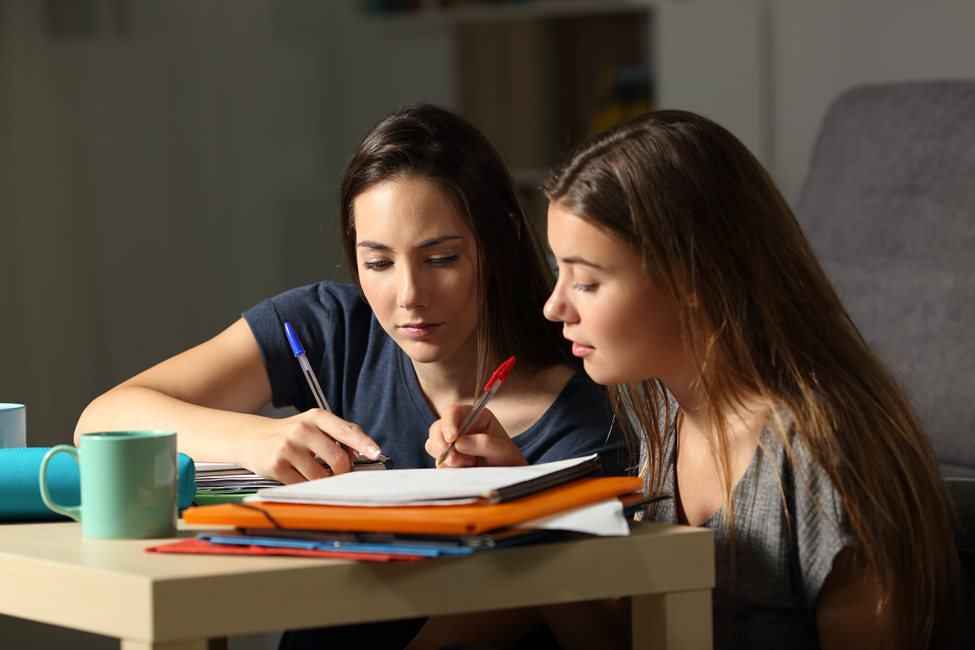 两个学生一起学习两个集中的学生一起学习评论笔记在家晚小时