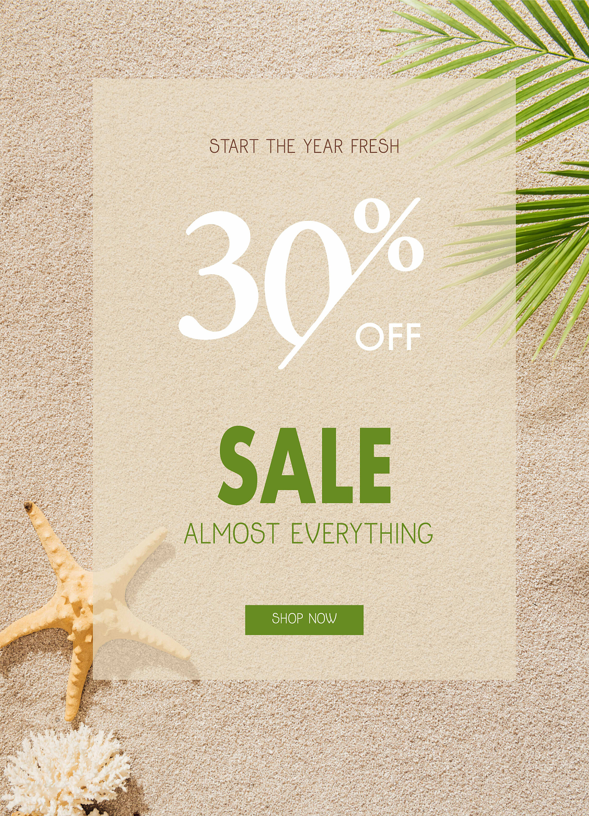 沙滩上的贝壳珊瑚和海星位于沙滩上的贝壳、珊瑚和海星的顶级景观, 棕榈树枝打折