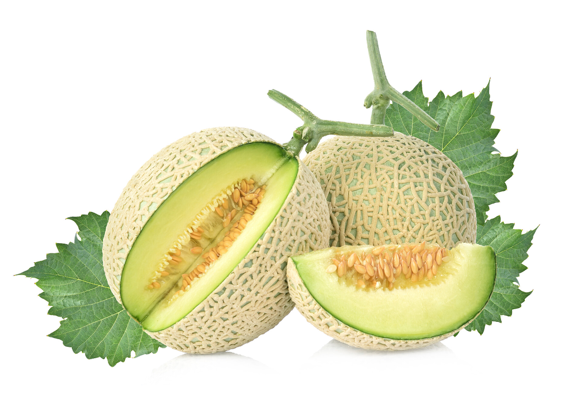 白色背景上的甜瓜从白色背景中分离出来的甜瓜