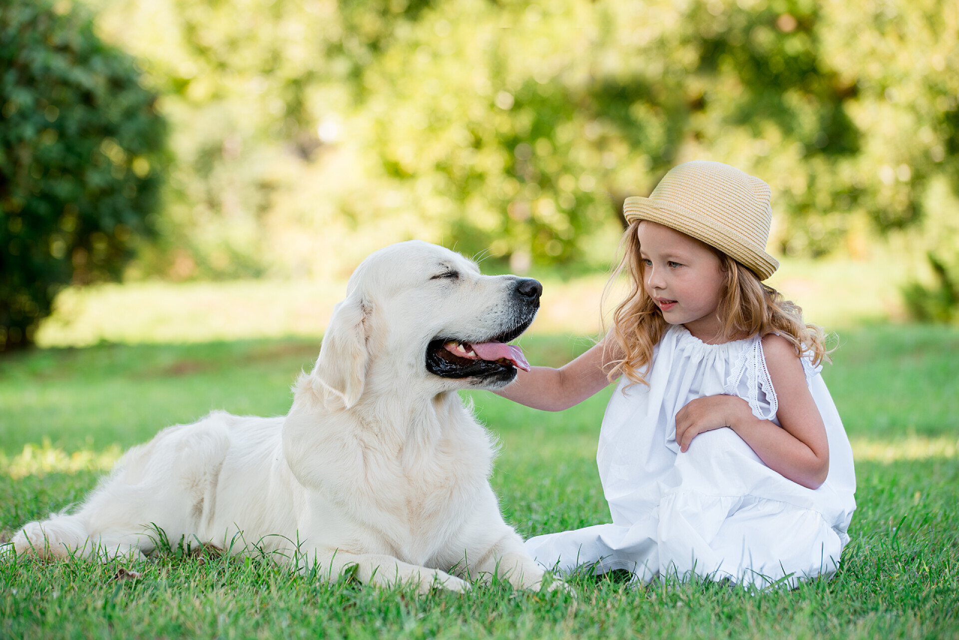夏日公园里草坪上的女孩和她的宠物狗一个可爱的金发女郎, 蓝眼睛, 在夏日阳光明媚的公园里有一只白色的大狗。友谊的概念