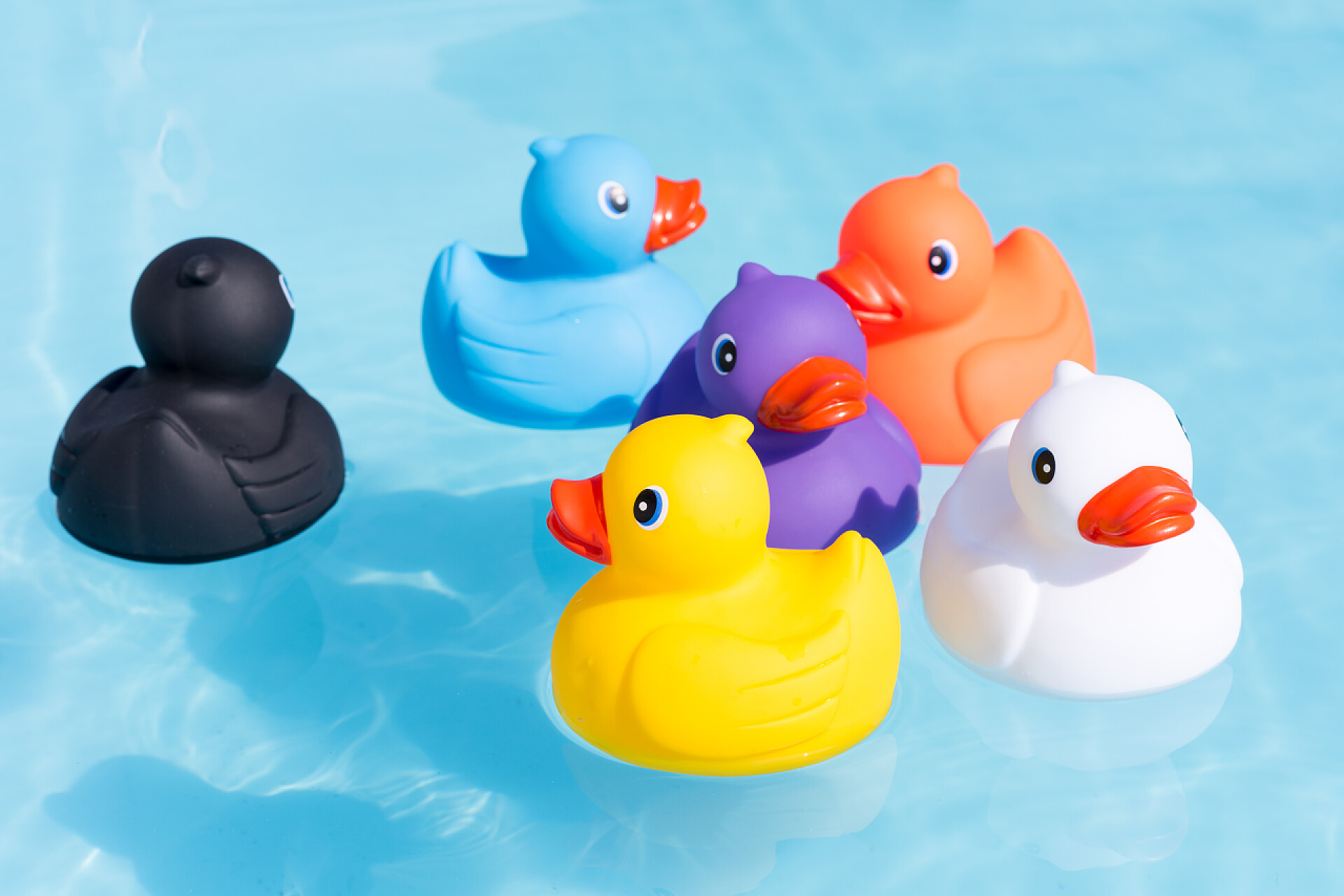 在游泳池水面上的一群鸭子玩具六只五颜六色的橡皮鸭, 一家鸭, 黄, 蓝, 紫, 黑, 白和橙, 在水中游泳在一个划池