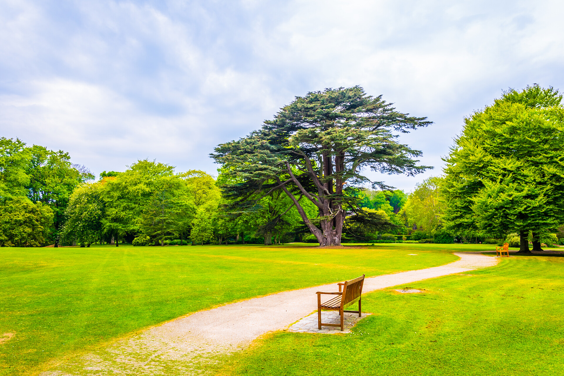 蓝天白云下公园里的绿色草坪伊雷兰的马拉海德花园
