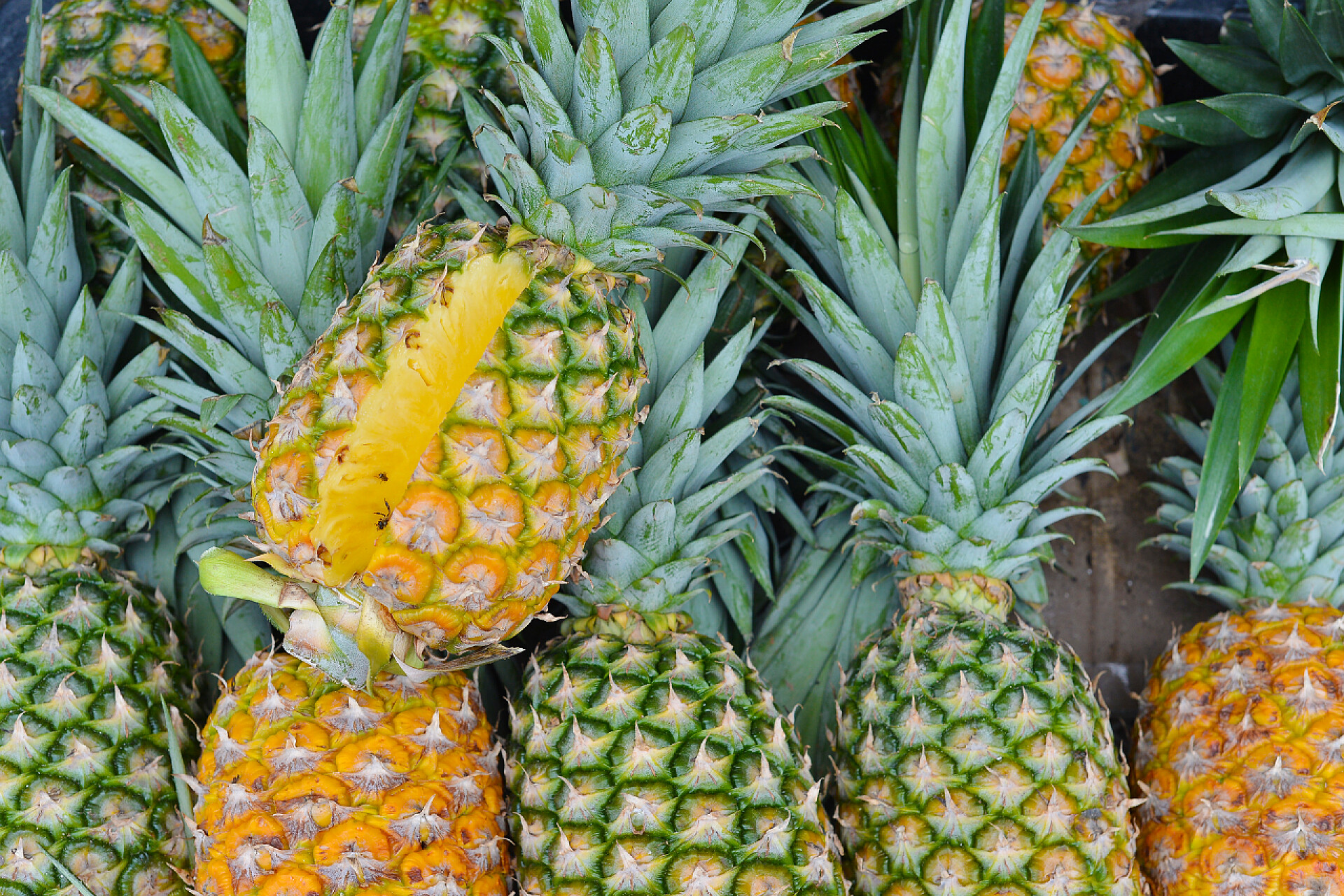 市场上销售的新鲜菠萝菠萝在市场上销售