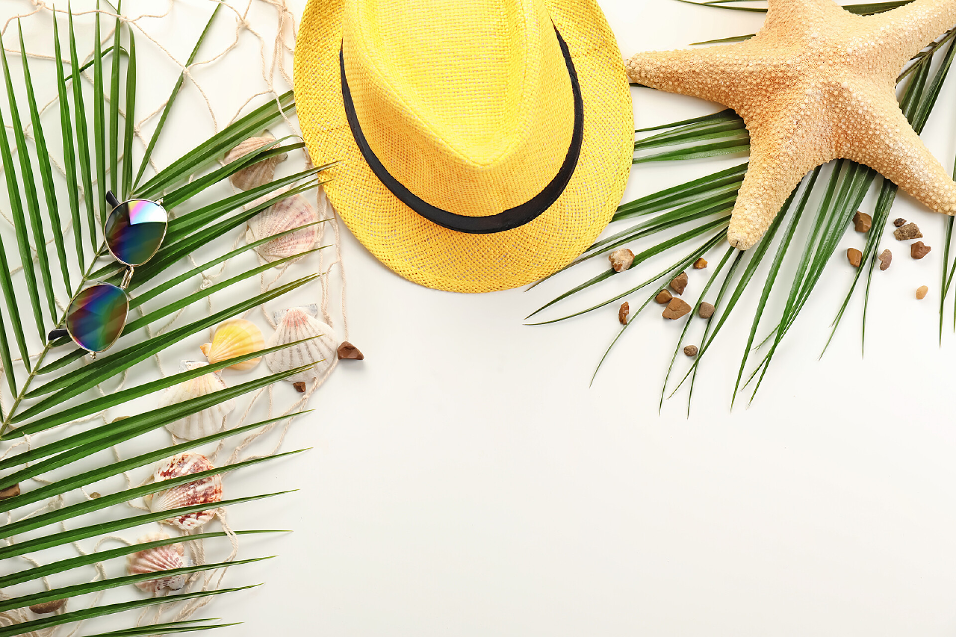 在白色背景上的热带叶子和海贝组成在白色背景与海滩项目, 热带叶子和海贝组成