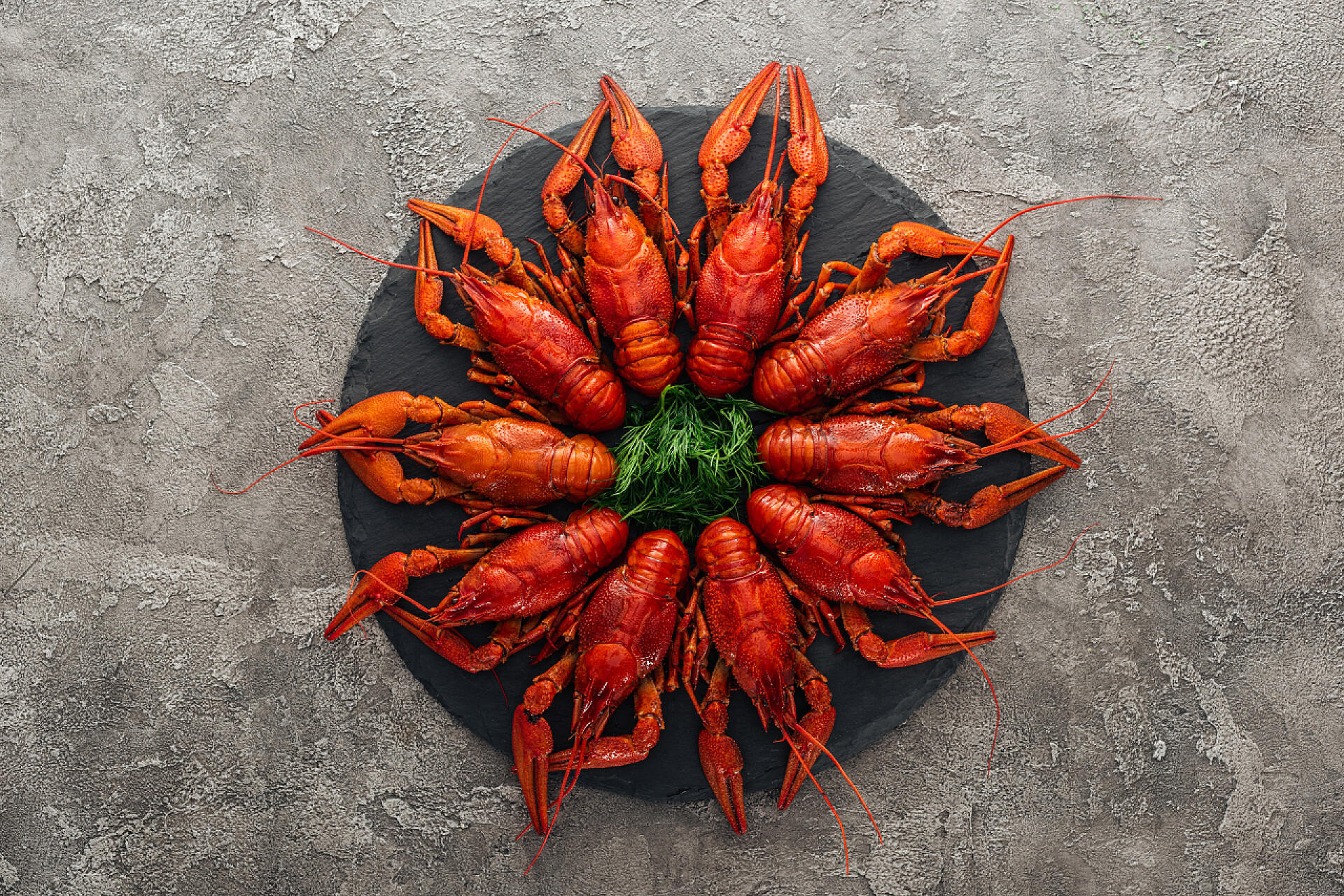 灰色纹理背景盘子里的小龙虾顶视图在灰色纹理表面上与红色龙虾和绿色草本的黑板的顶视图