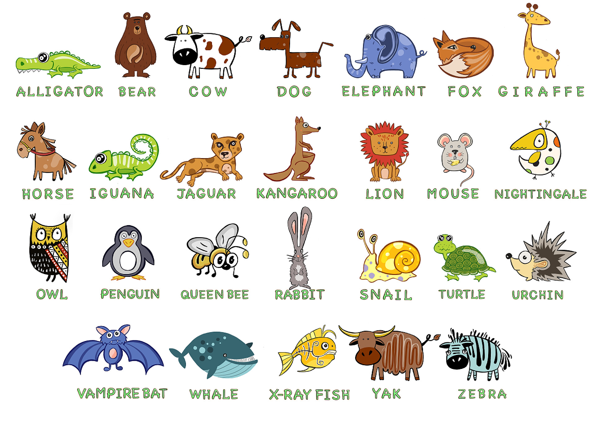 白色背景上的小动物合集动物标本：农场动物，野生动物，以白色背景隔离的海鱼动物