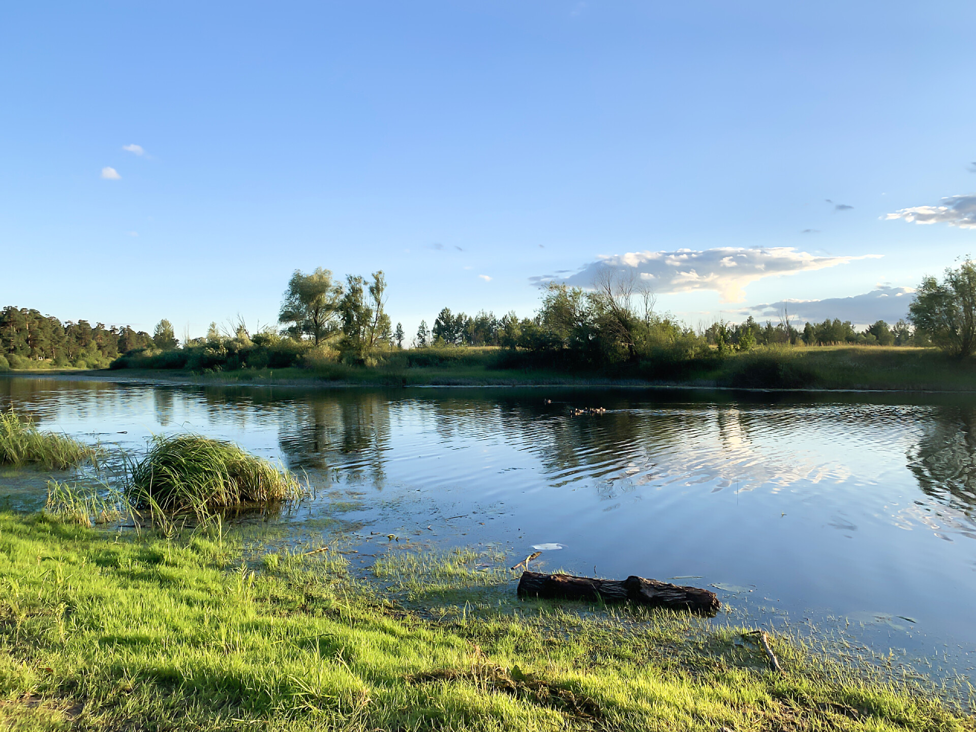 蓝天湖边自然景观自然景观,日落时河岸.风景，水中的倒影，阳光，岸上的草。夜晚在河边.