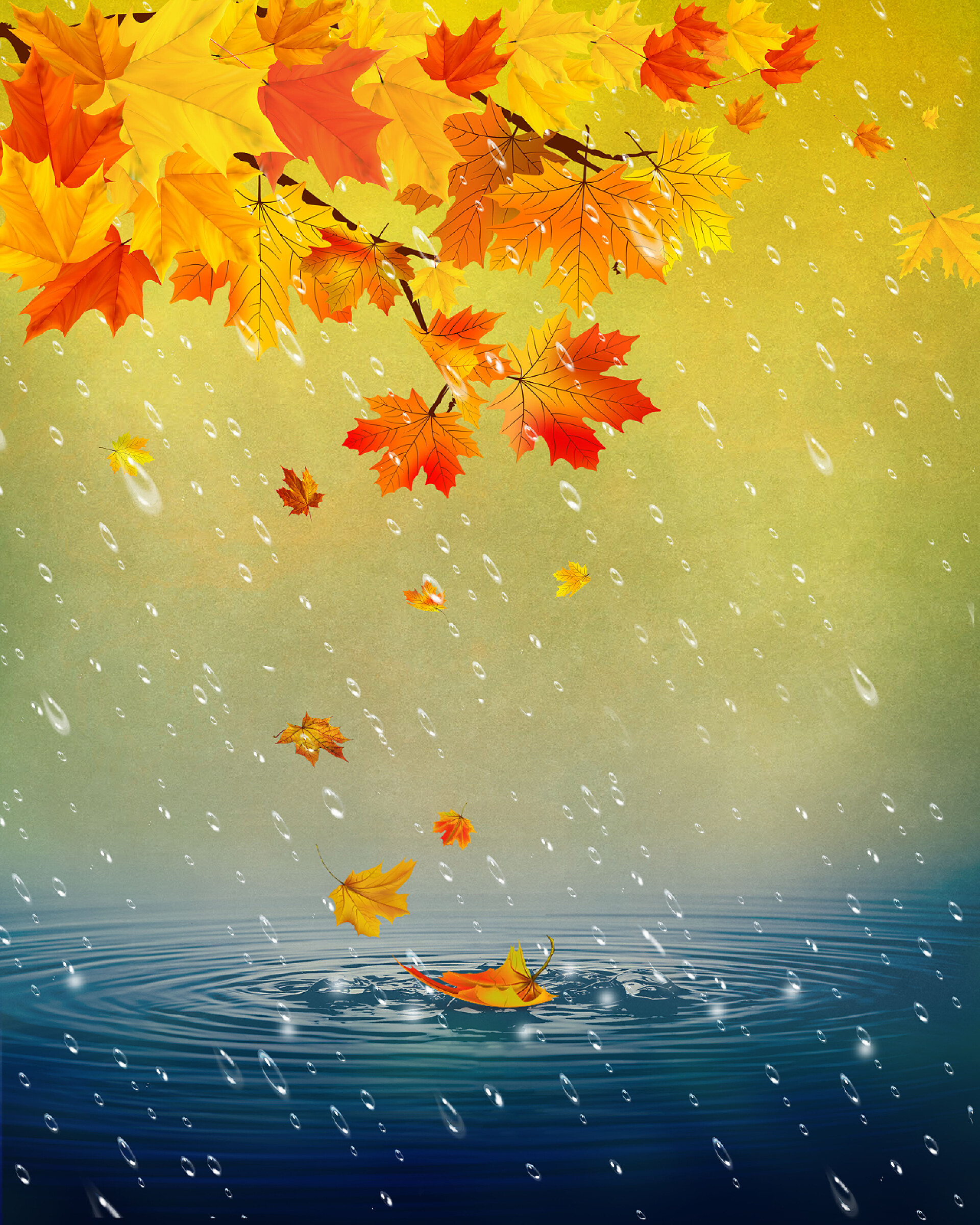 红色的枫叶和雨水