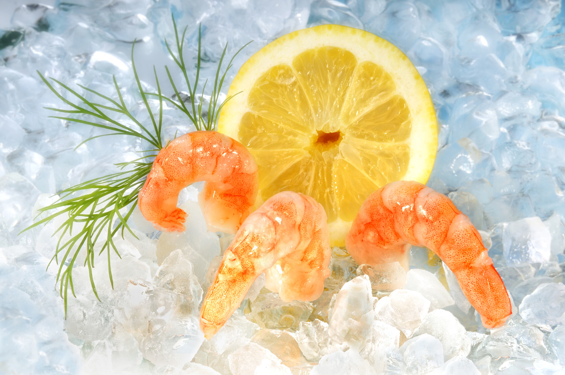 冷冻的虾和柠檬料理虾仁