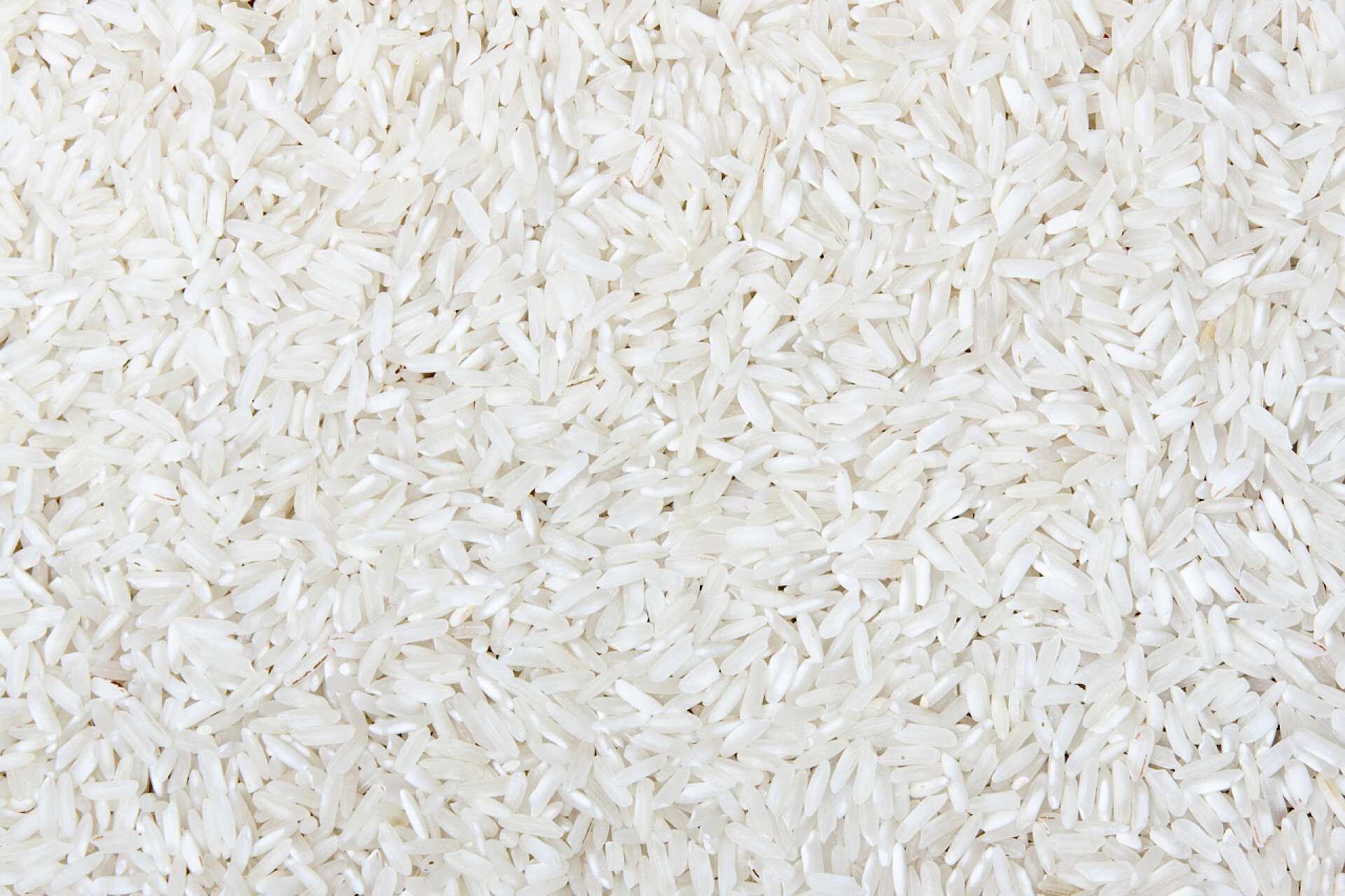 白色花纹背景稻谷