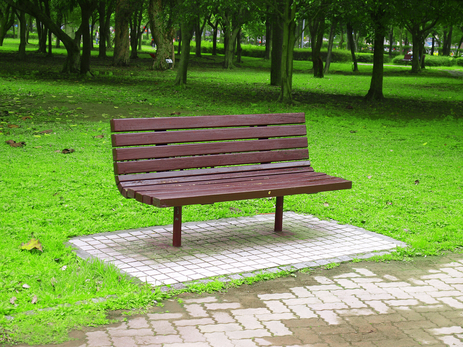 公园草地上的长椅长凳和草