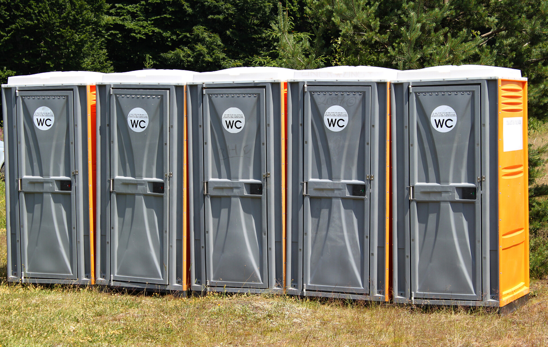 森林里的厕所wc 在森林里的小木屋