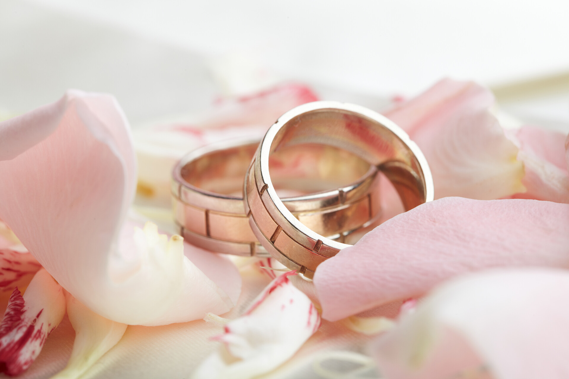 放在撒满花瓣的白布上的金戒指金戒指和玫瑰花瓣