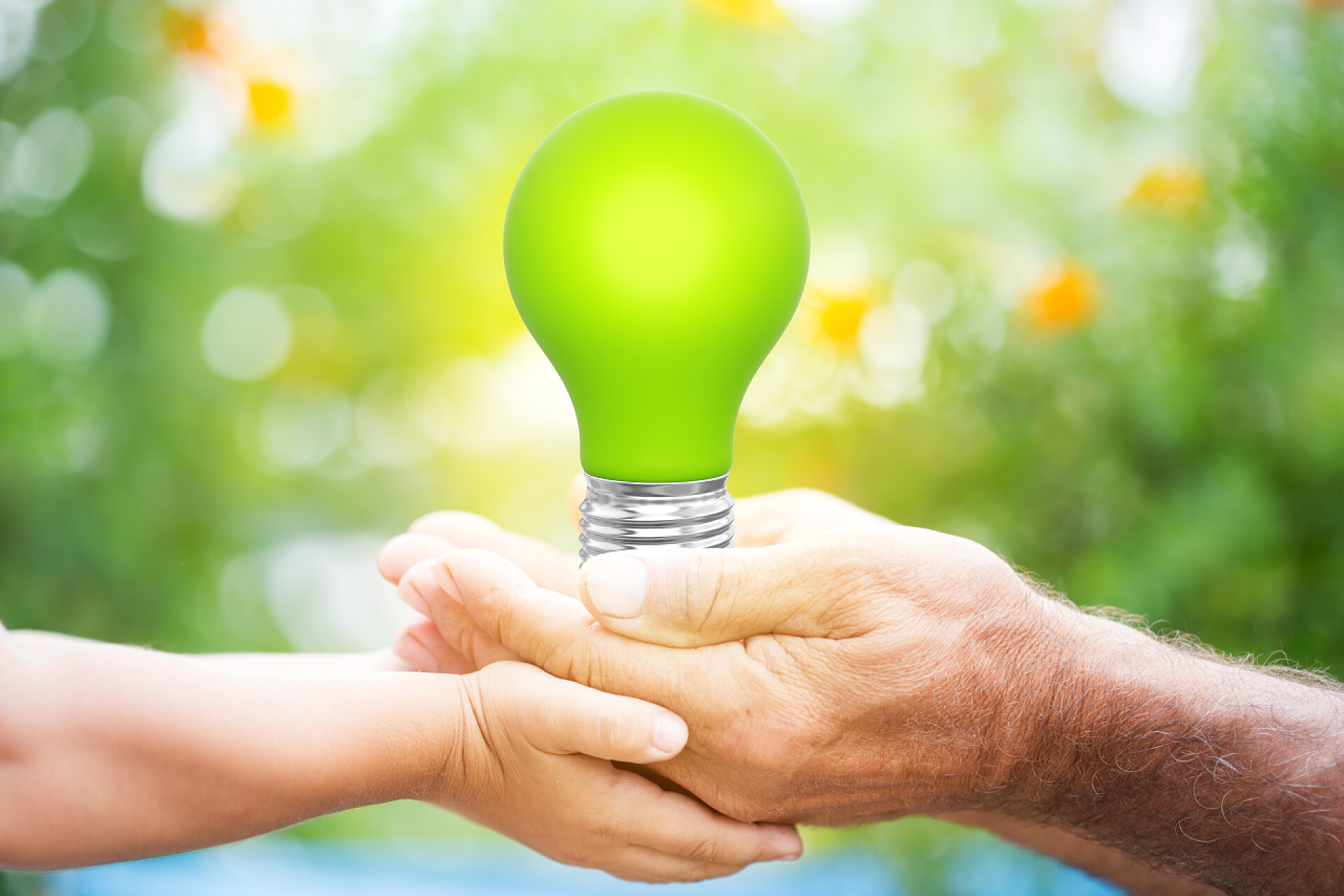 模糊背景上小手和大手托举绿色灯泡手中的灯泡