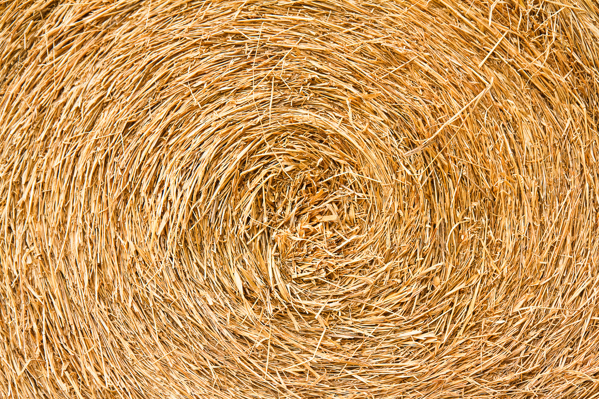 干草卷秸秆纹理背景秸秆纹理背景