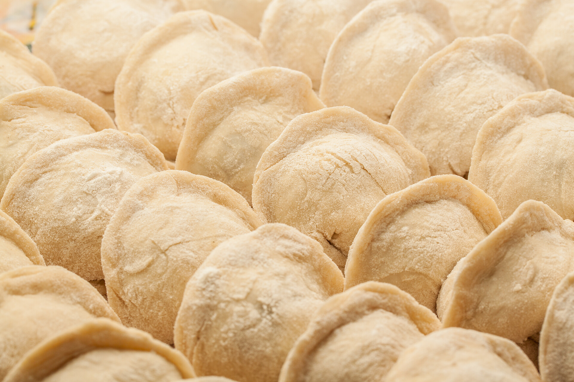 新鲜手工白面饺子特写肉饺子