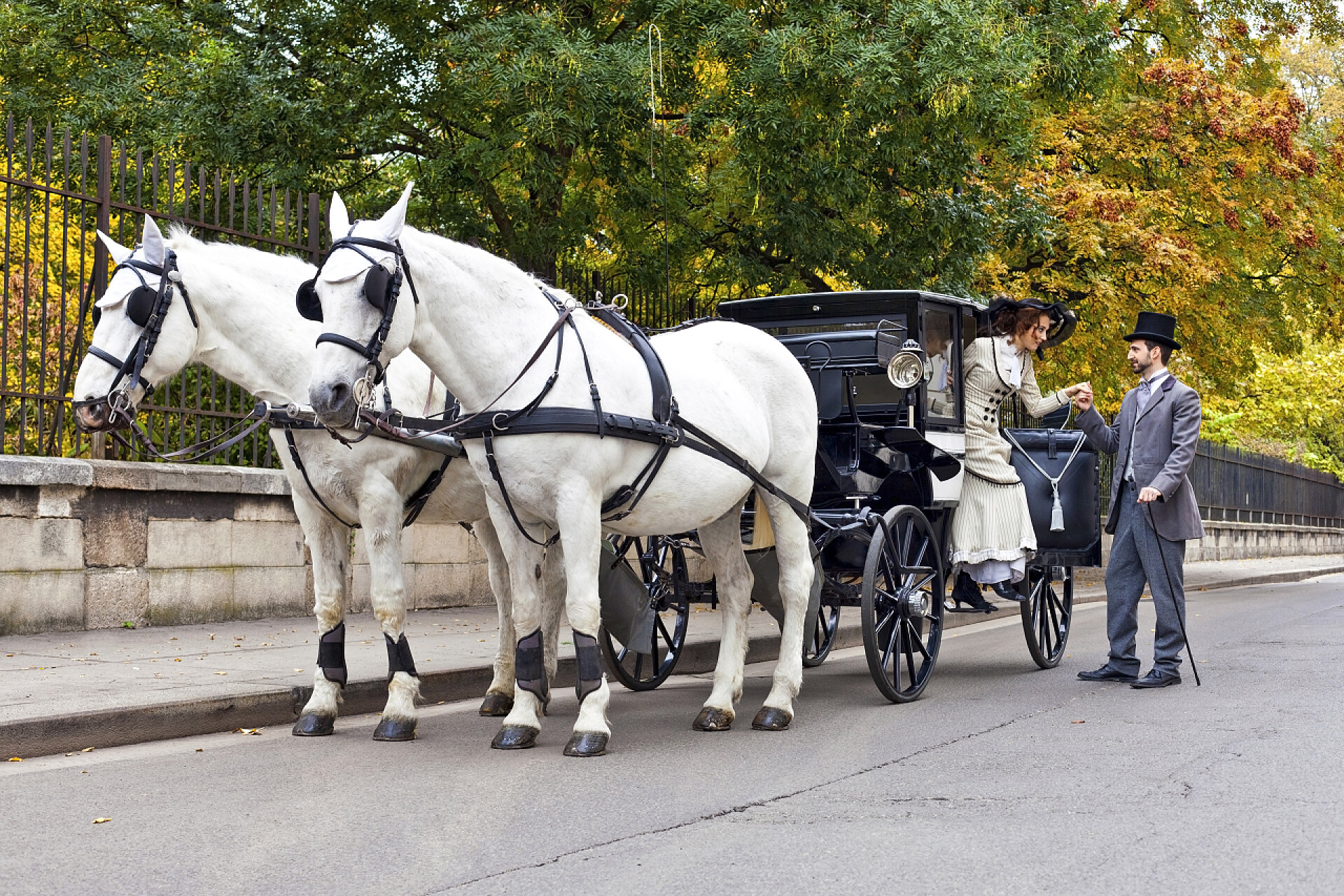 复古穿戴夫妇坐马车马车与老老式穿戴夫妇爱
