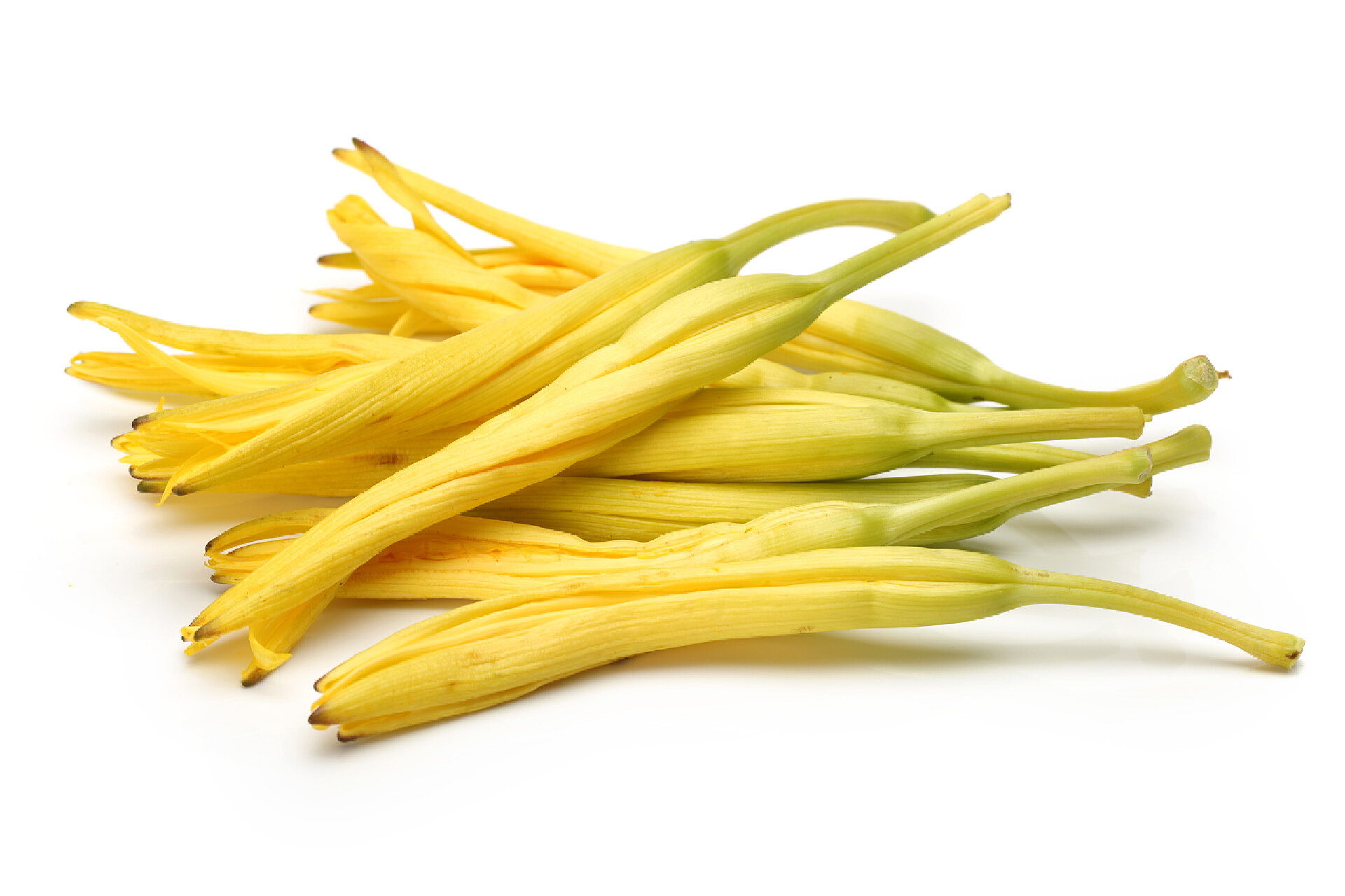 在白色背景上的黄花菜在白色背景上的黄花菜