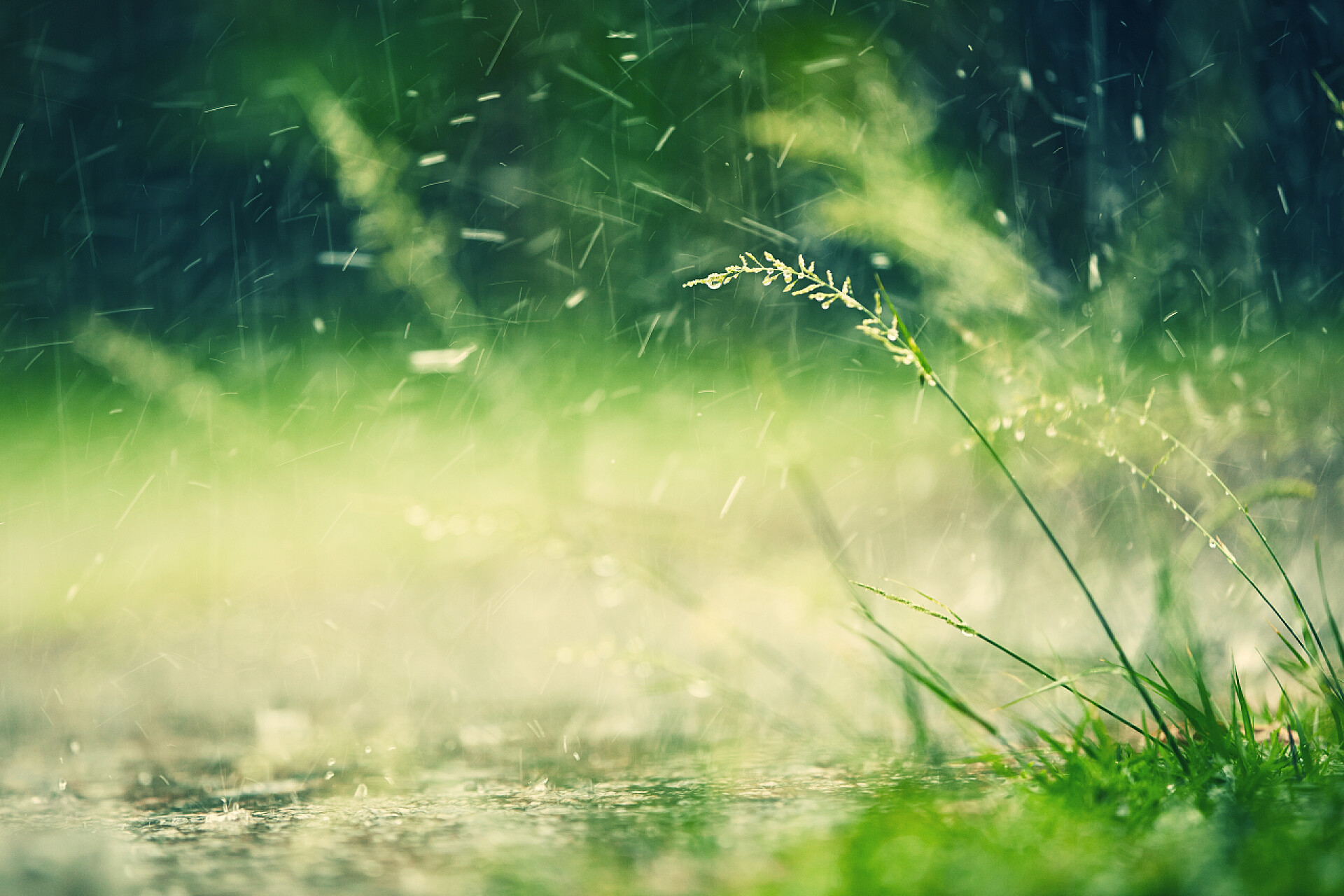 公园里下着大雨大雨