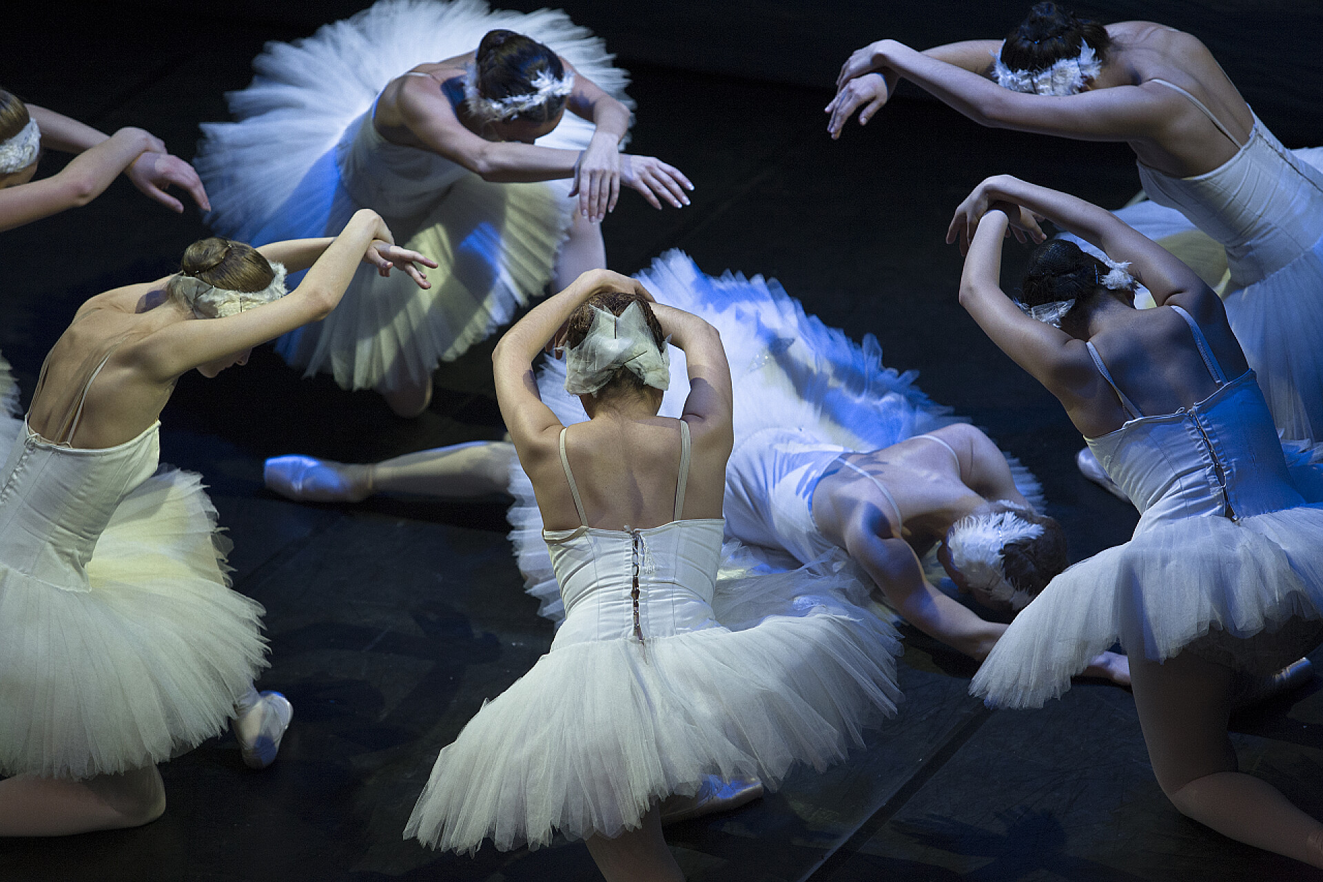 芭蕾舞者在表演奥德特死亡和复活