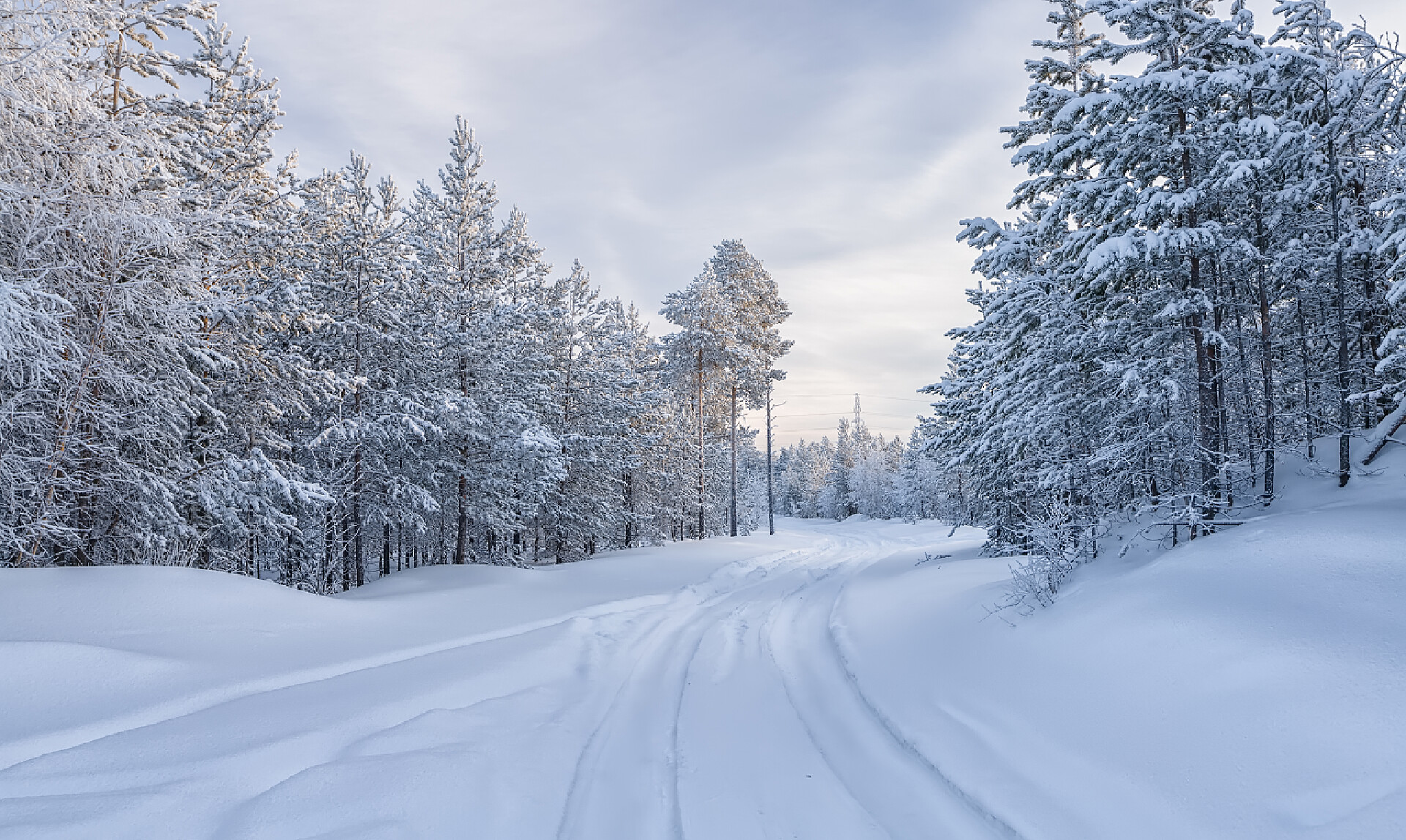 寒冷冬天的森林景观冬季景观