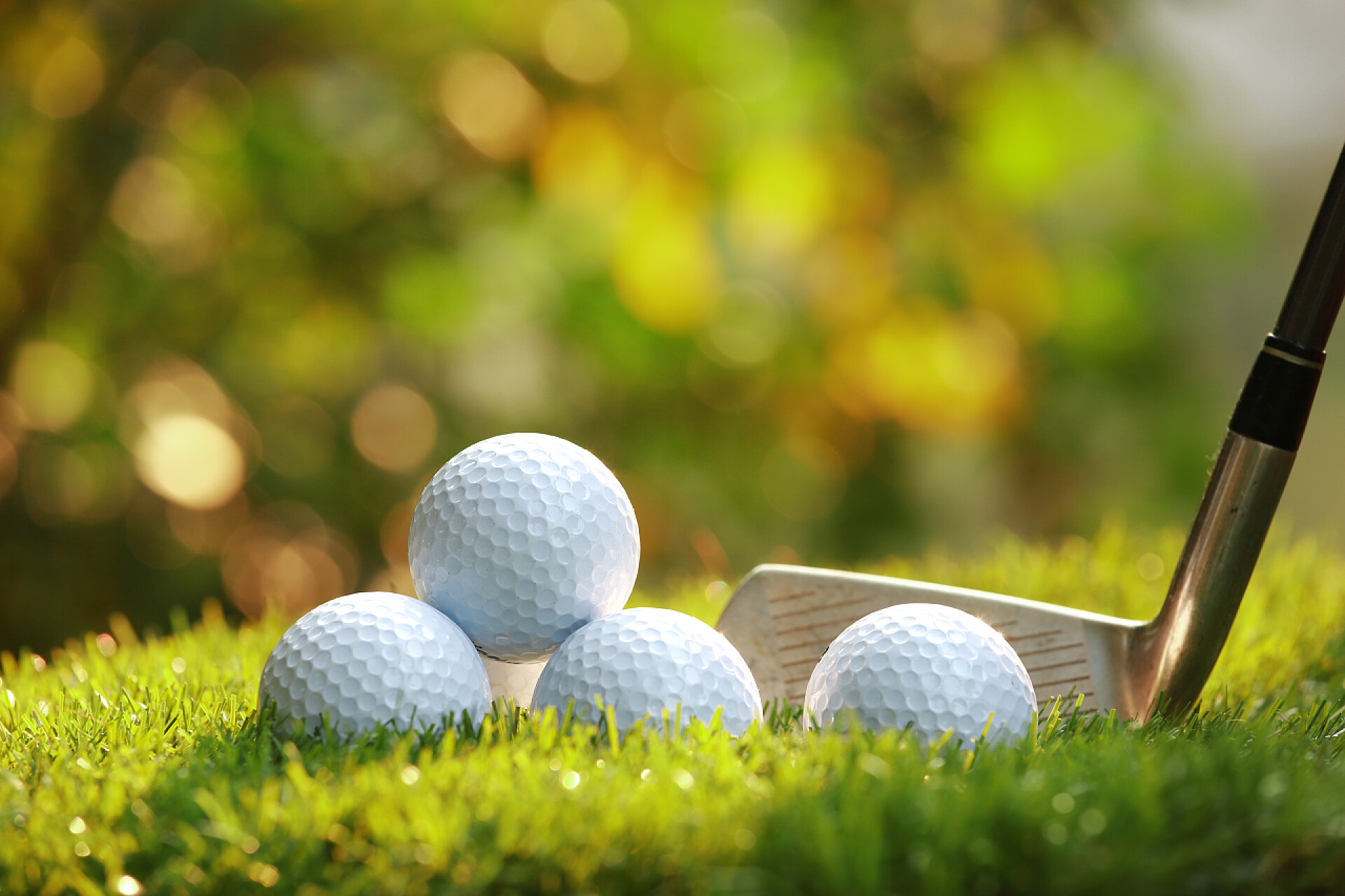 高尔夫球场上的高尔夫球高尔夫球和在绿色草地上的驱动程序