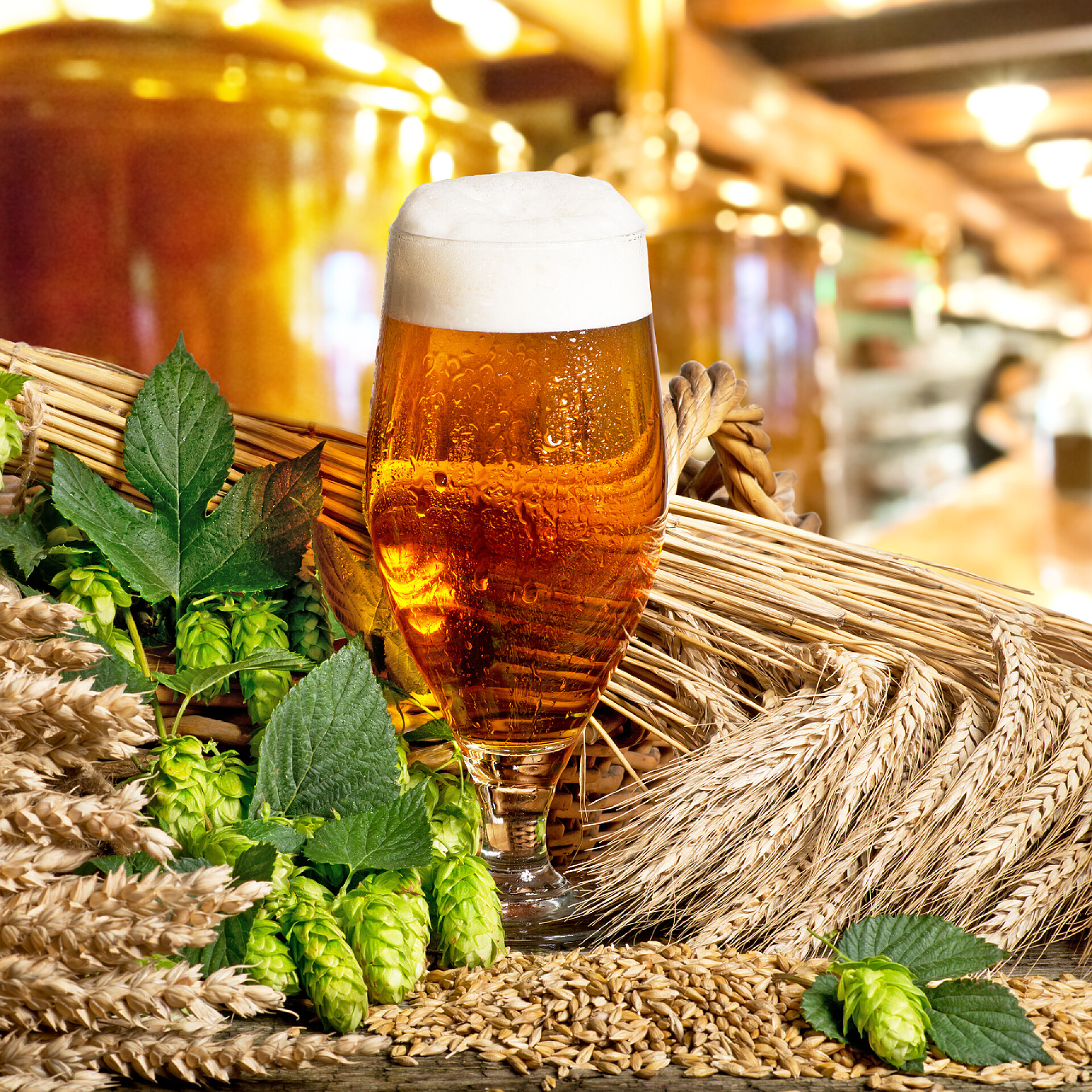 啤酒的特写啤酒杯