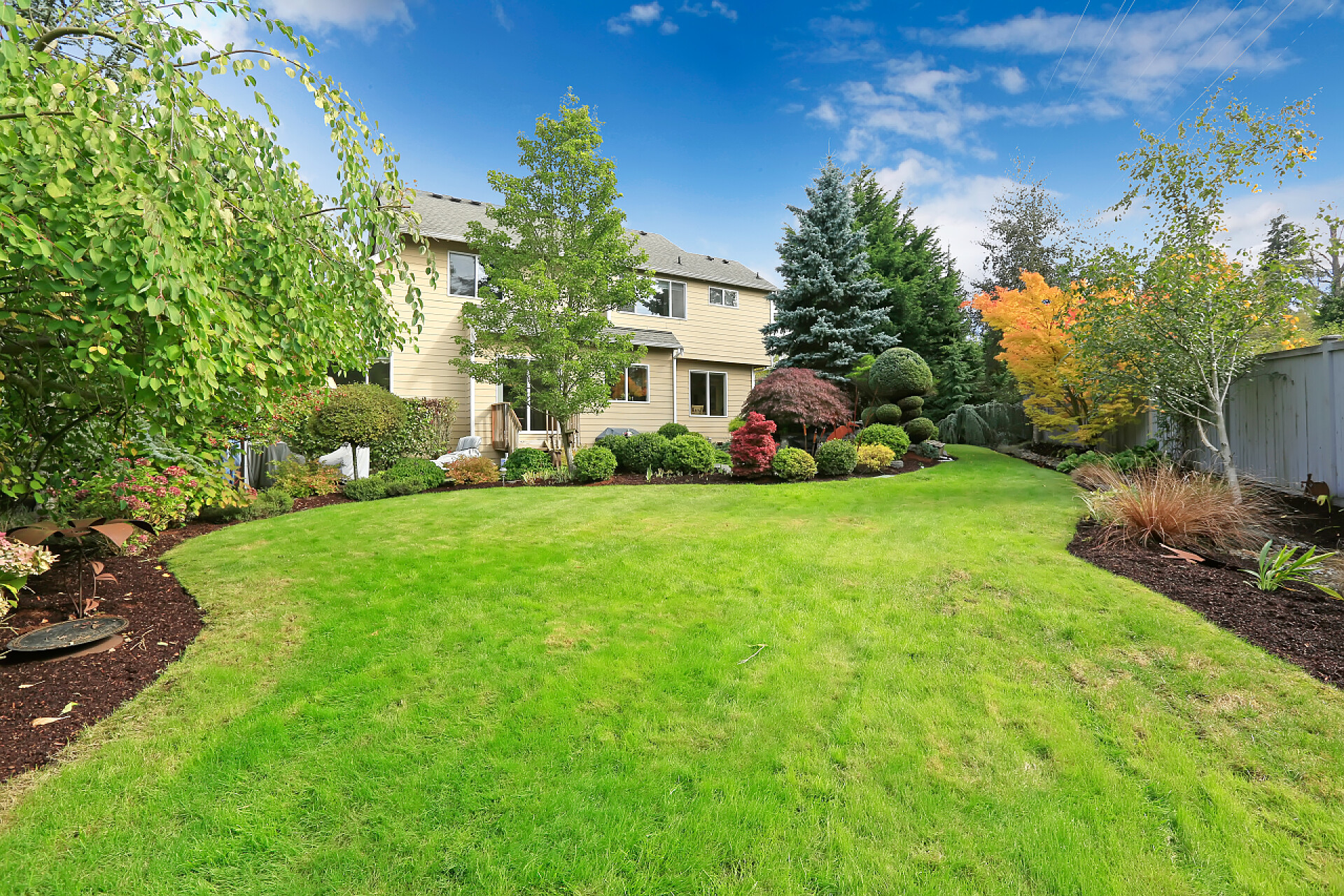 带后院热带景观设计的大房子后院的热带花园和草坪的房子