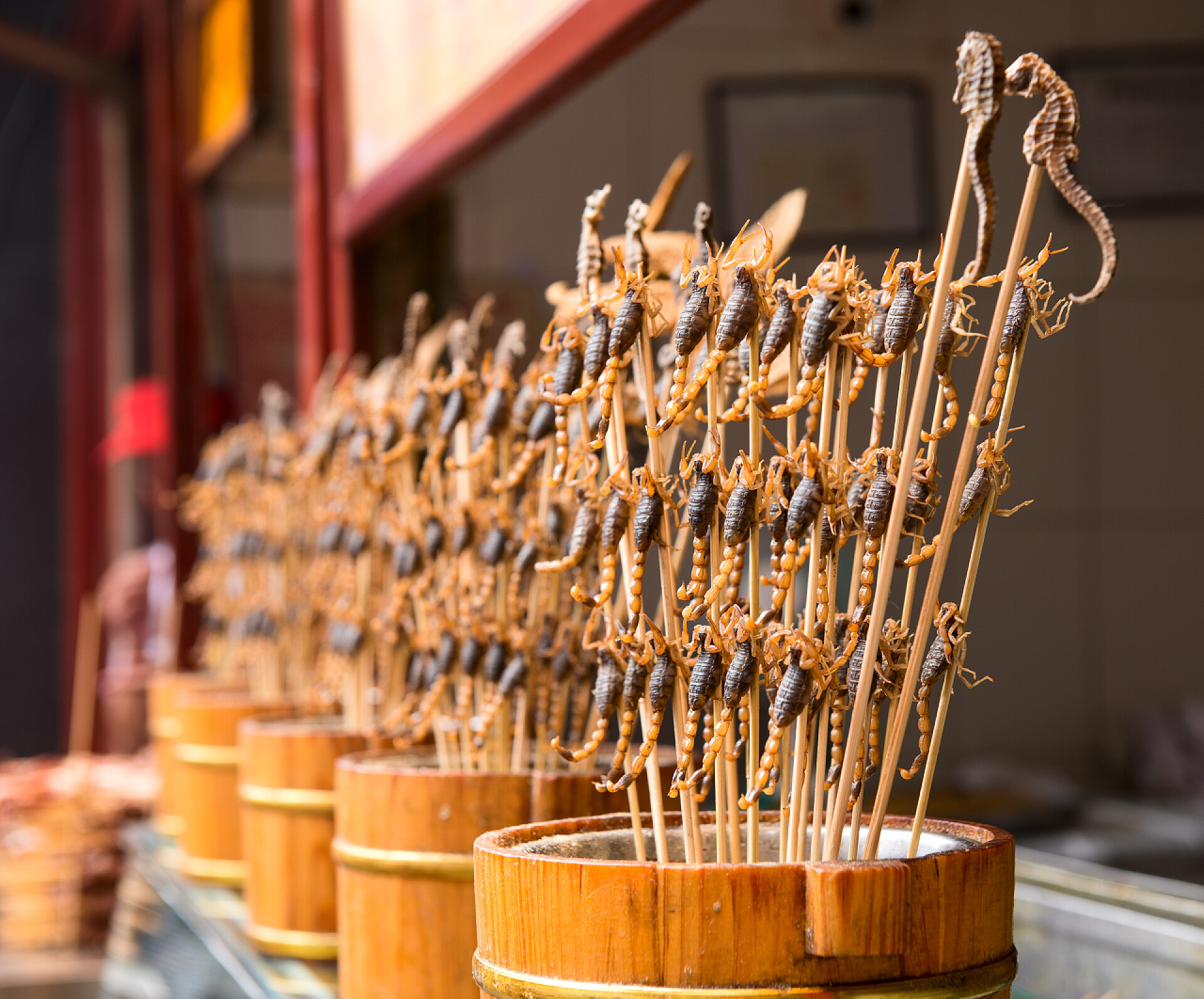 在王府井小吃街上的油炸蝎子和海马 在一根棍子上的蝎子