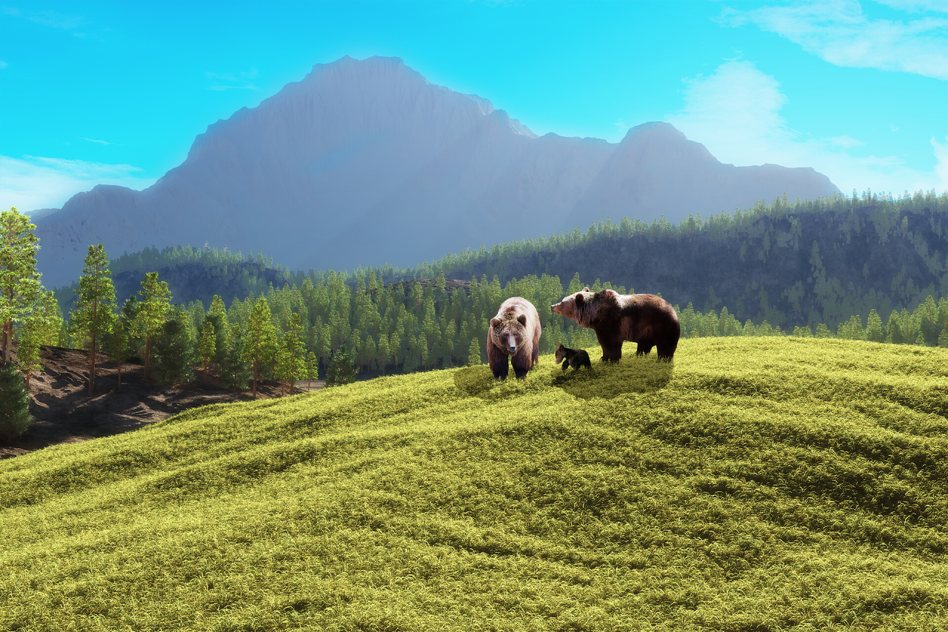 蓝天大山里的三只狗熊熊山.