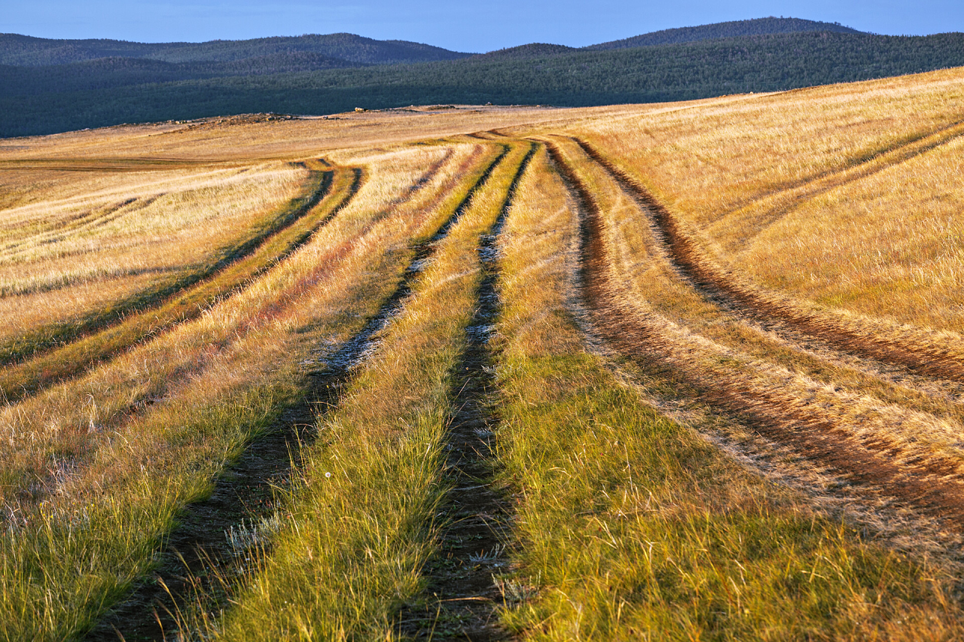 穿过田野的三条道路场上的道路