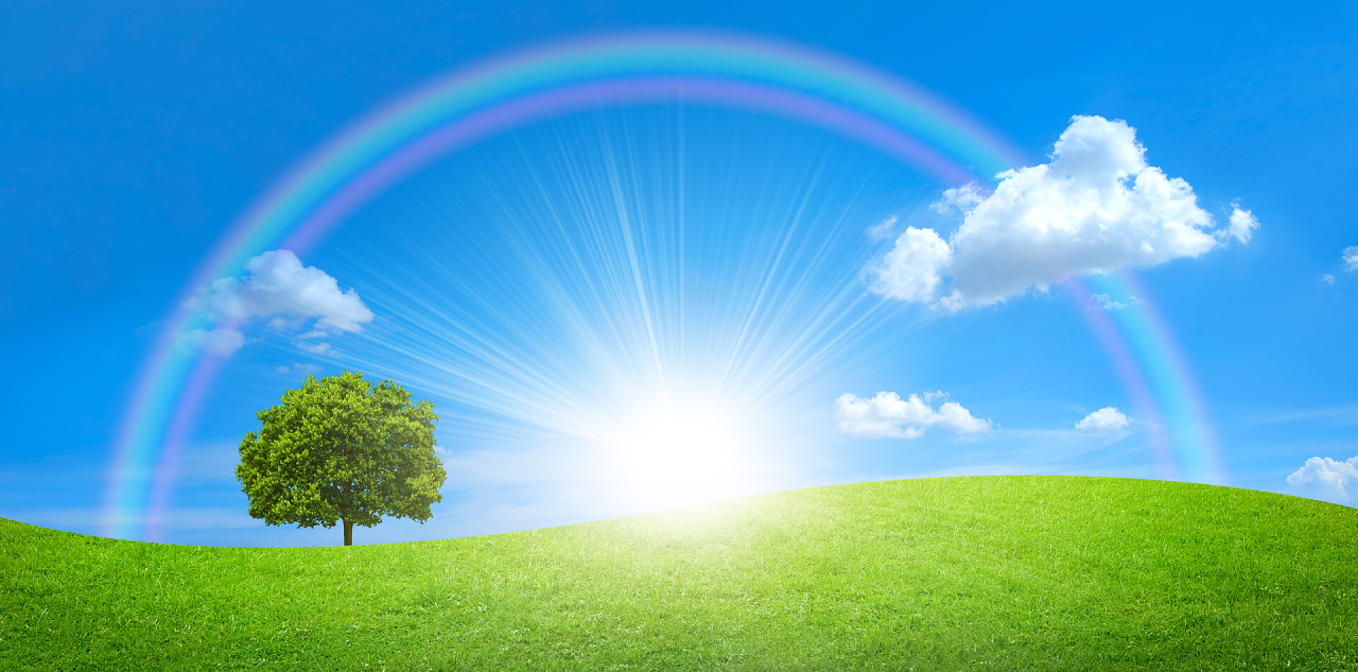 绿色的田野和蓝蓝的天空中的彩虹全景图的绿色的田野、 大树和蓝蓝的天空中的彩虹
