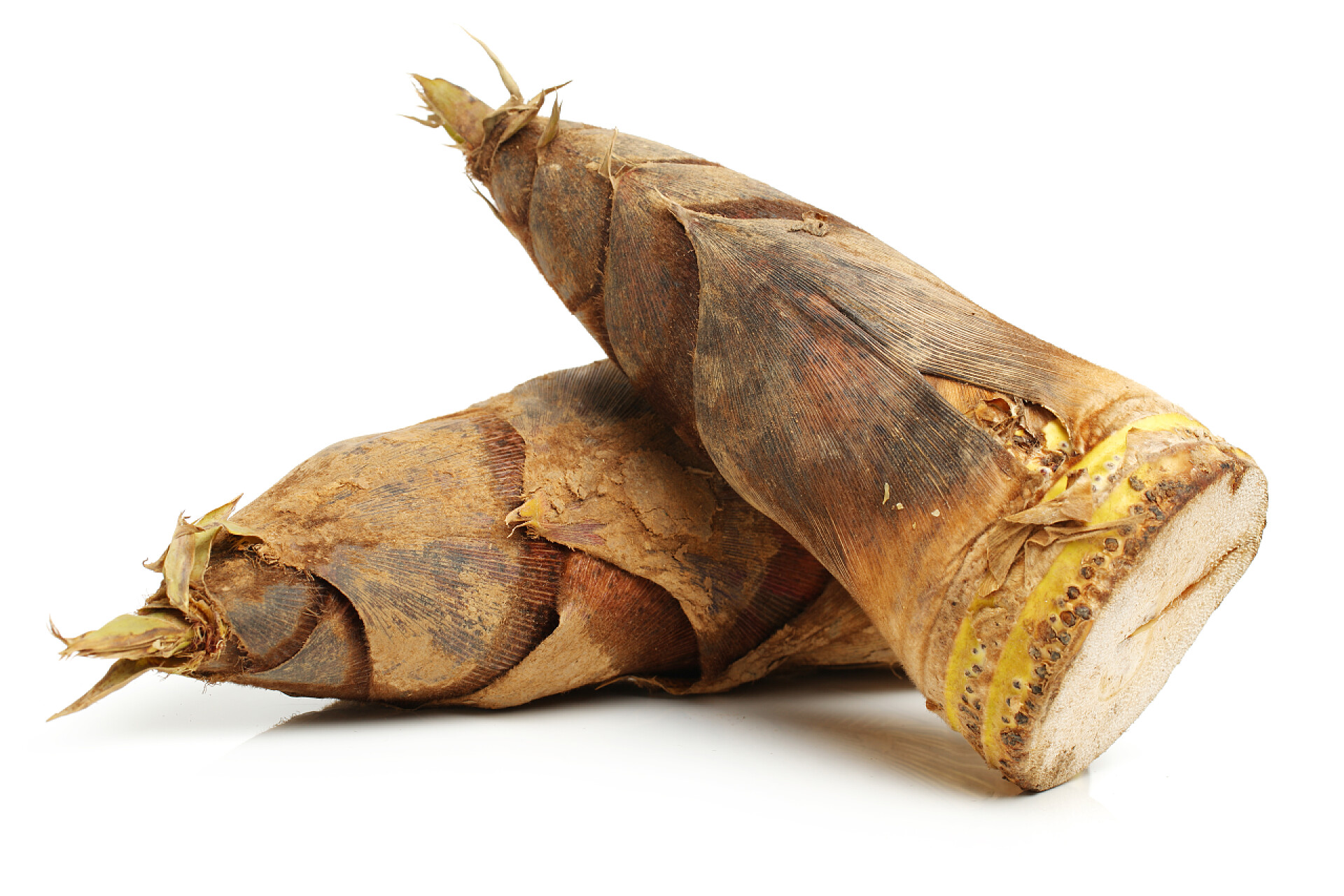 白色背景上的竹笋竹笋