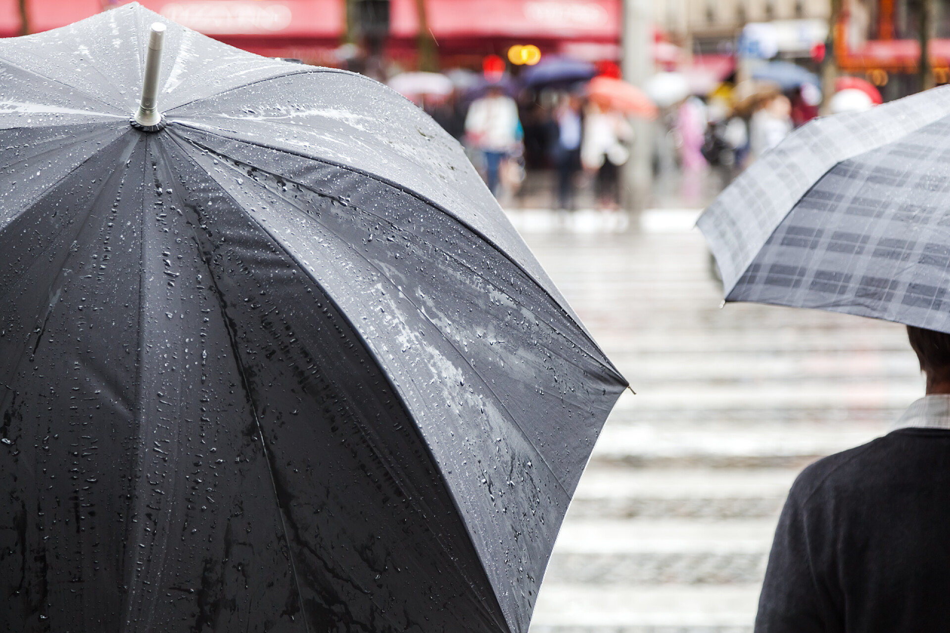 行人打着伞走在人行道上雨遮阳伞在多雨的城市