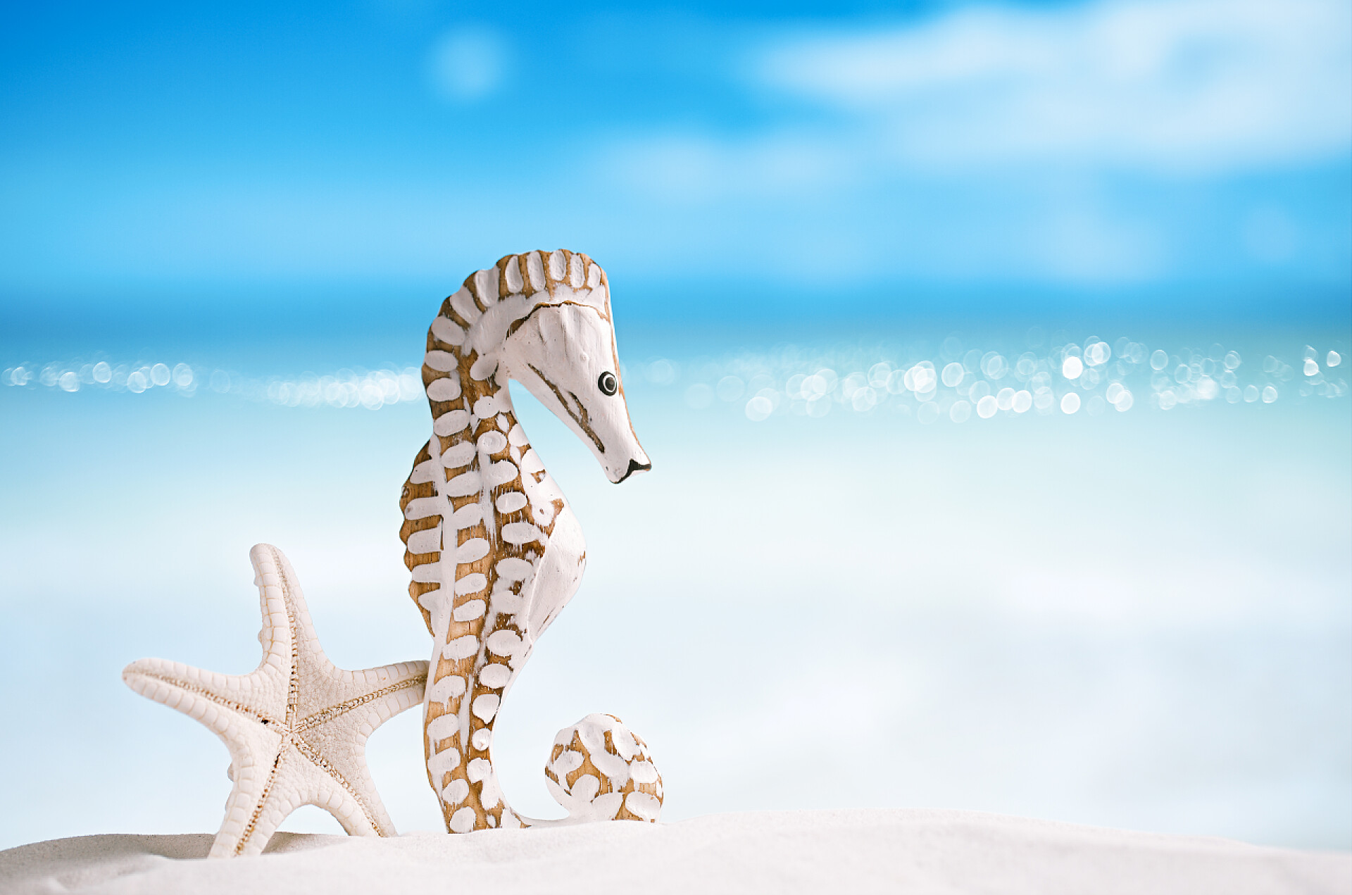 白色沙滩上的海马和海星海马与白海星