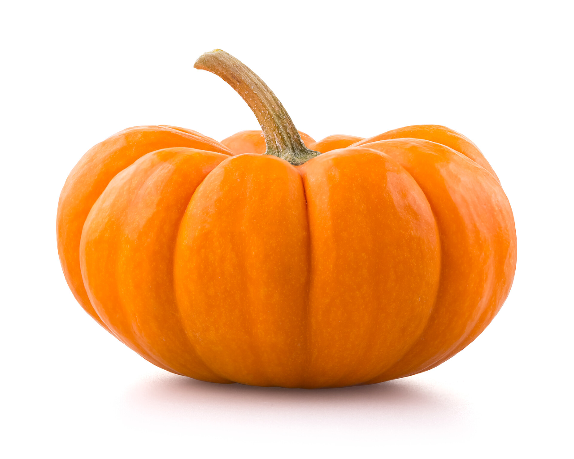 白色背景的南瓜南瓜