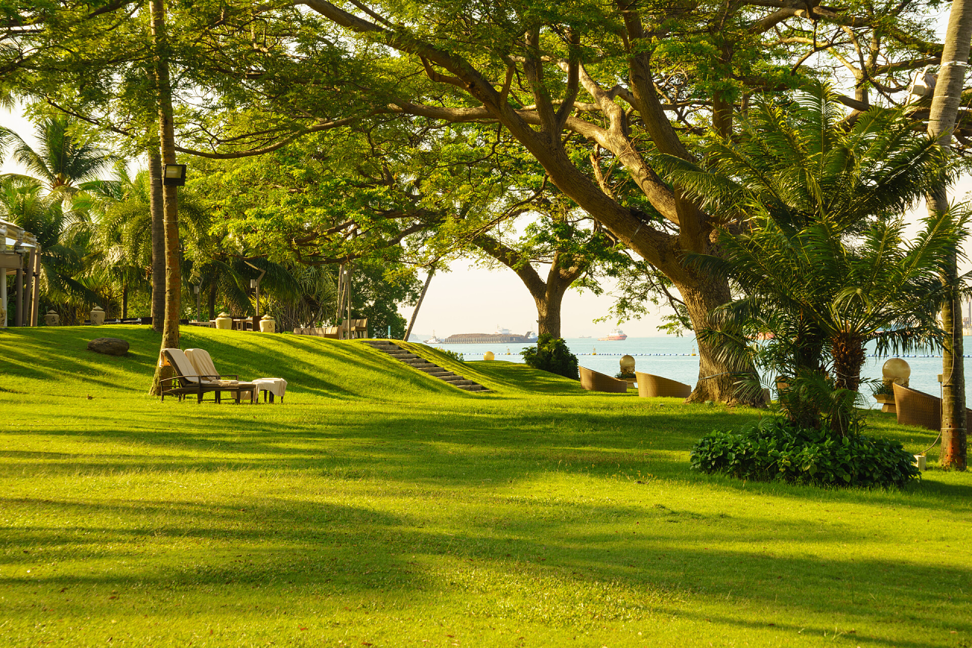 海边的绿色大树和草在海边放松