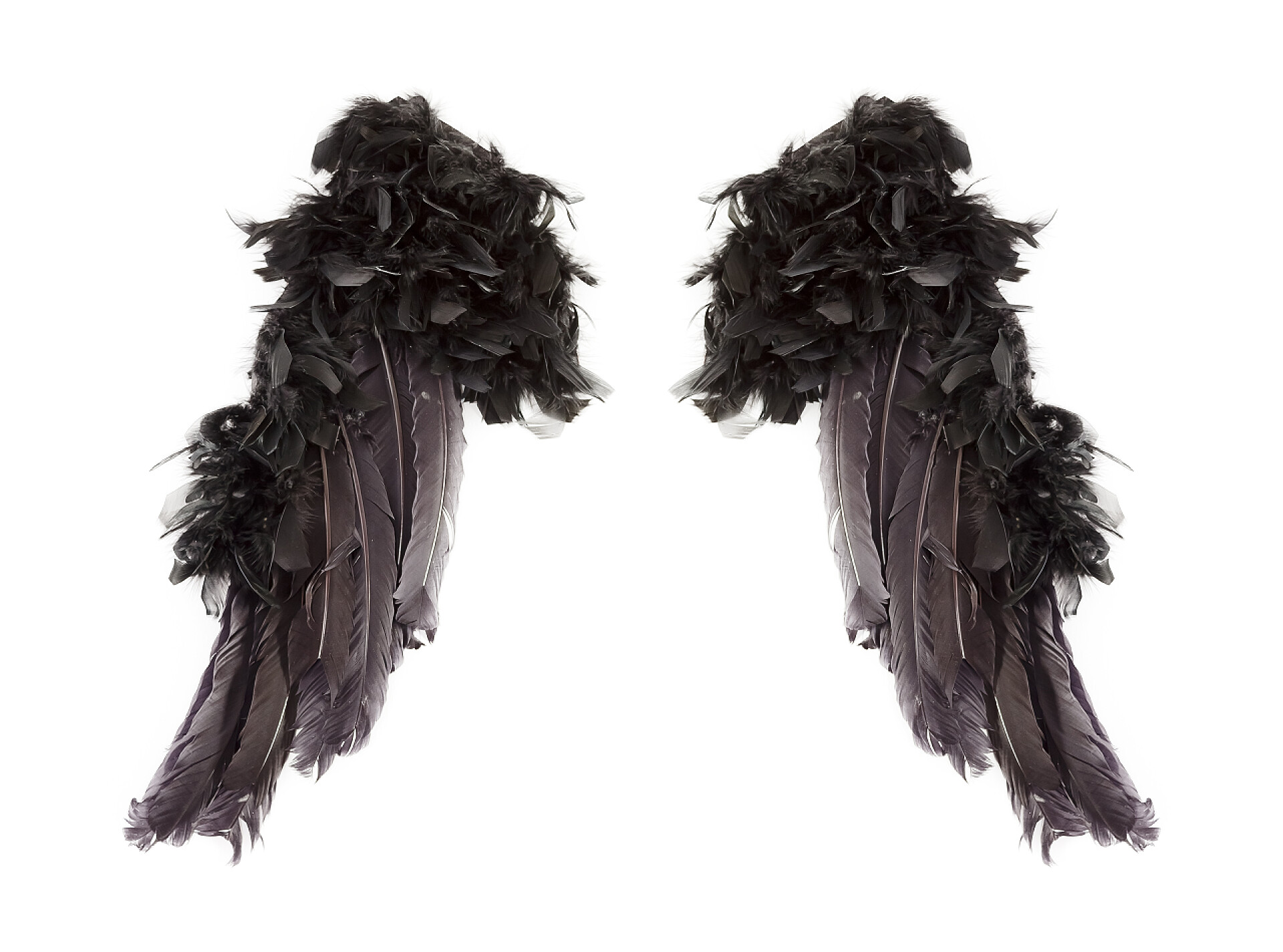 黑色的翅膀黑暗天使的翅膀