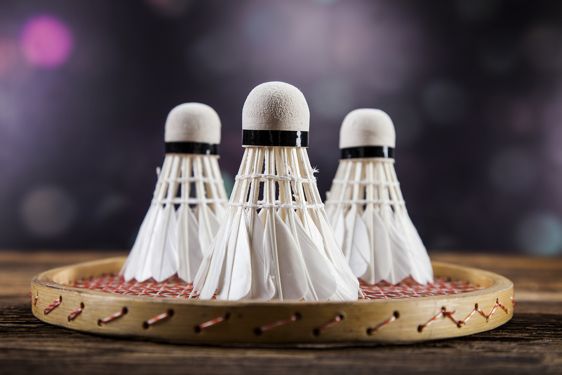 一套羽毛球羽毛球一套。桨和毽子.