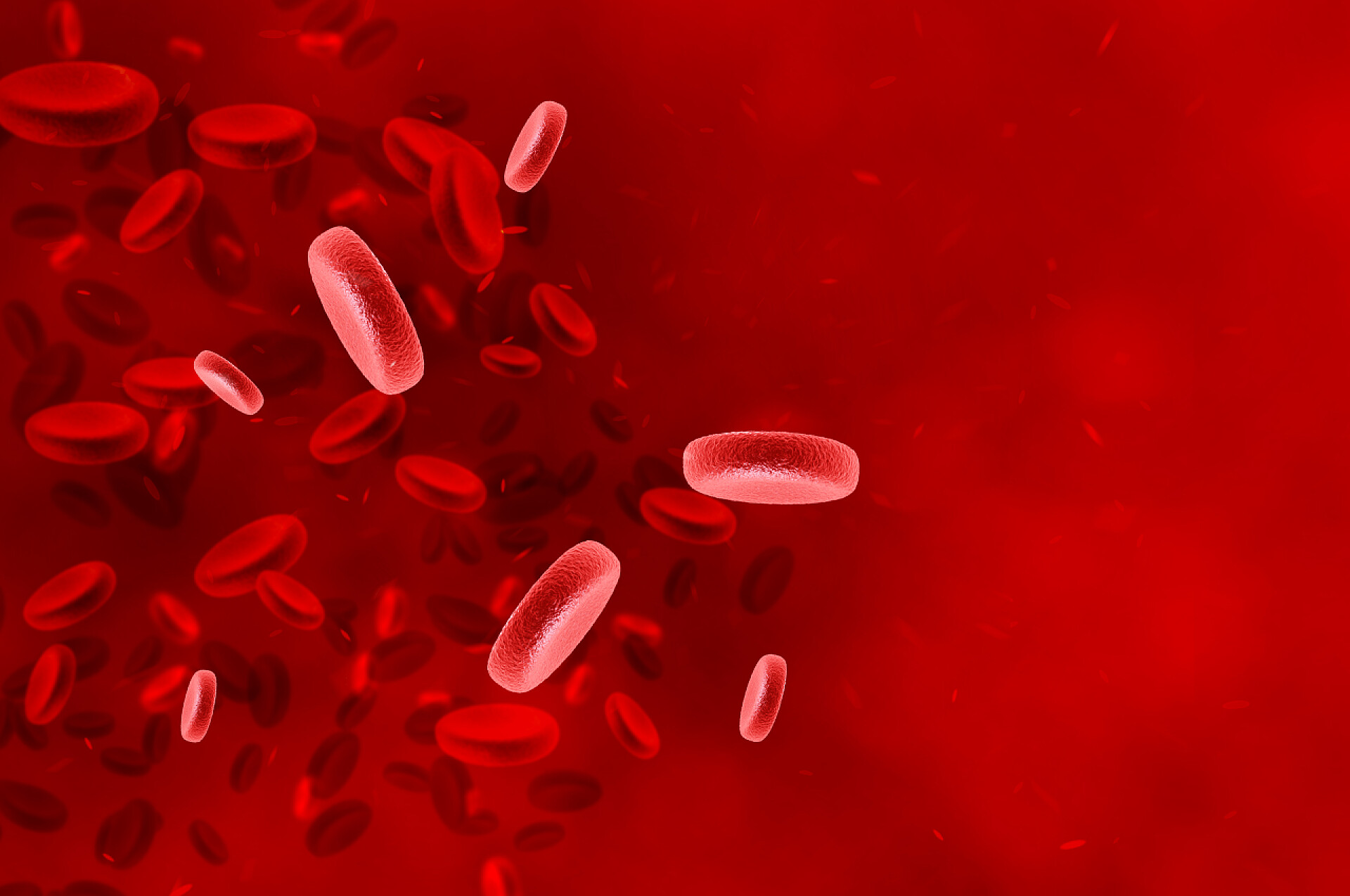血浆里的红细胞