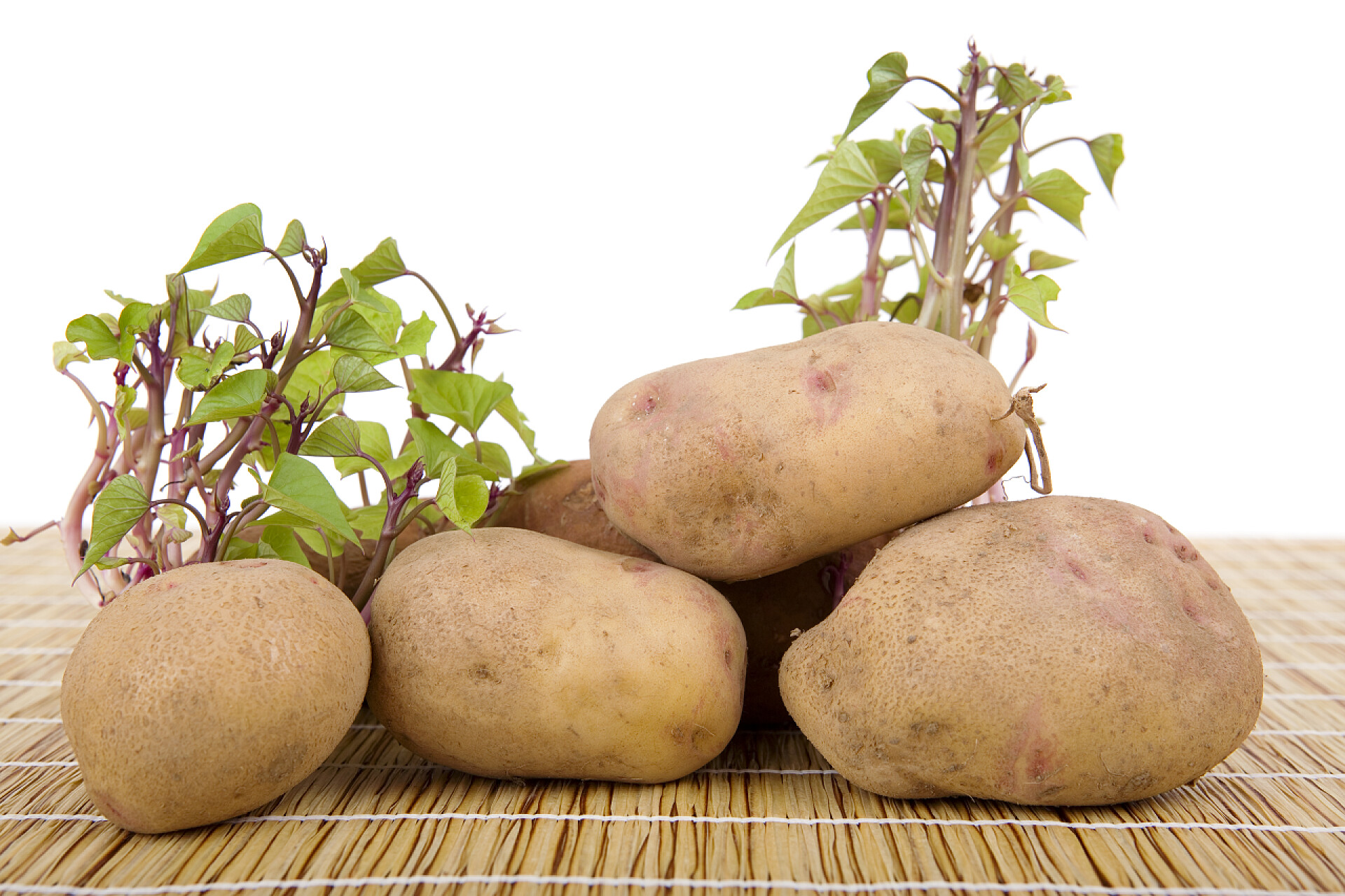 放在凉席上的土豆发芽的土豆