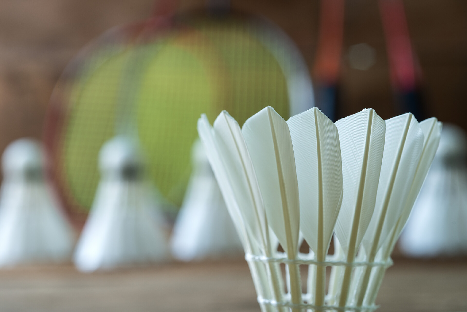 放在桌面的羽毛球一套羽毛球。水桶和羽毛球