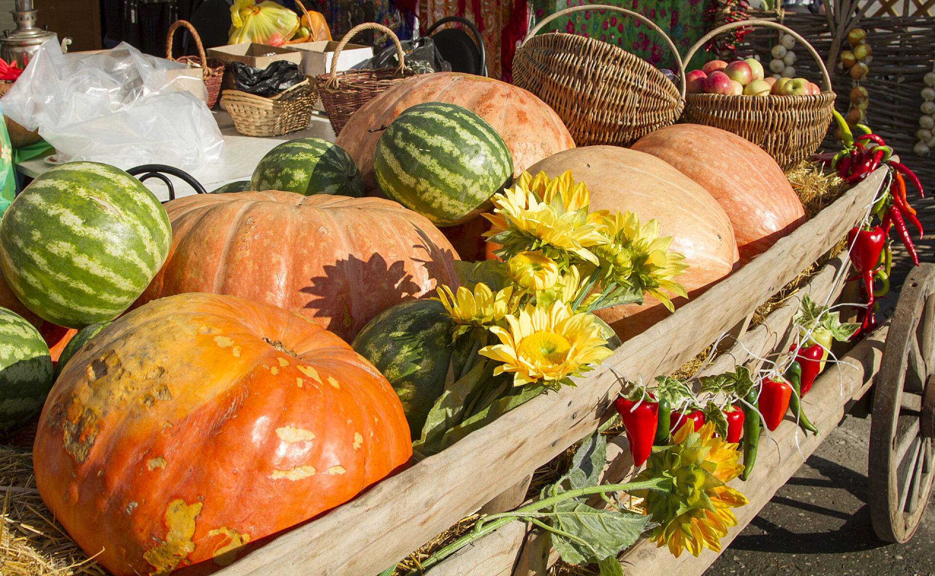 推车中丰收的水果和蔬菜购物车与丰收的水果和蔬菜