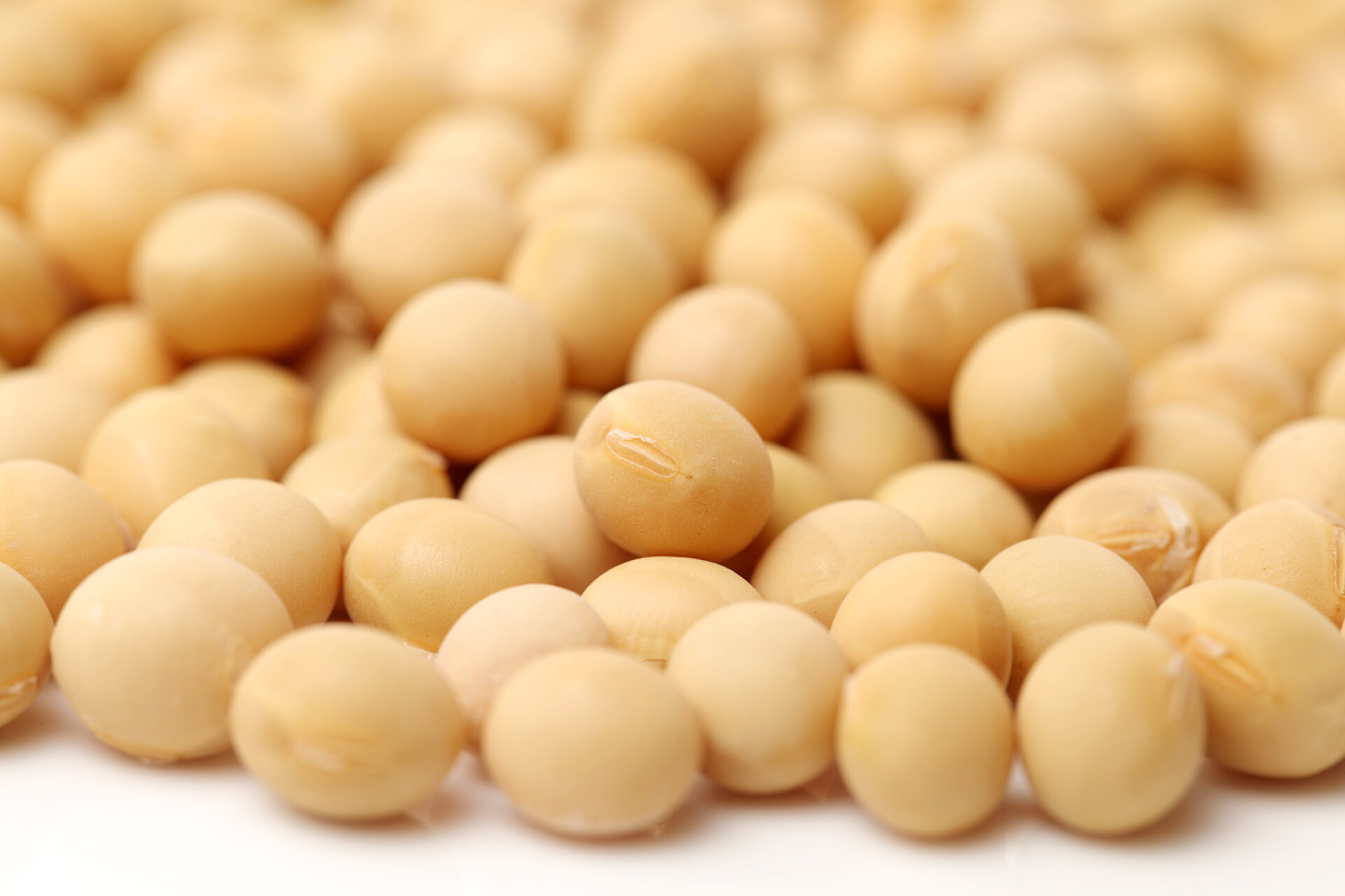 白色背景上的生大豆生大豆在白色